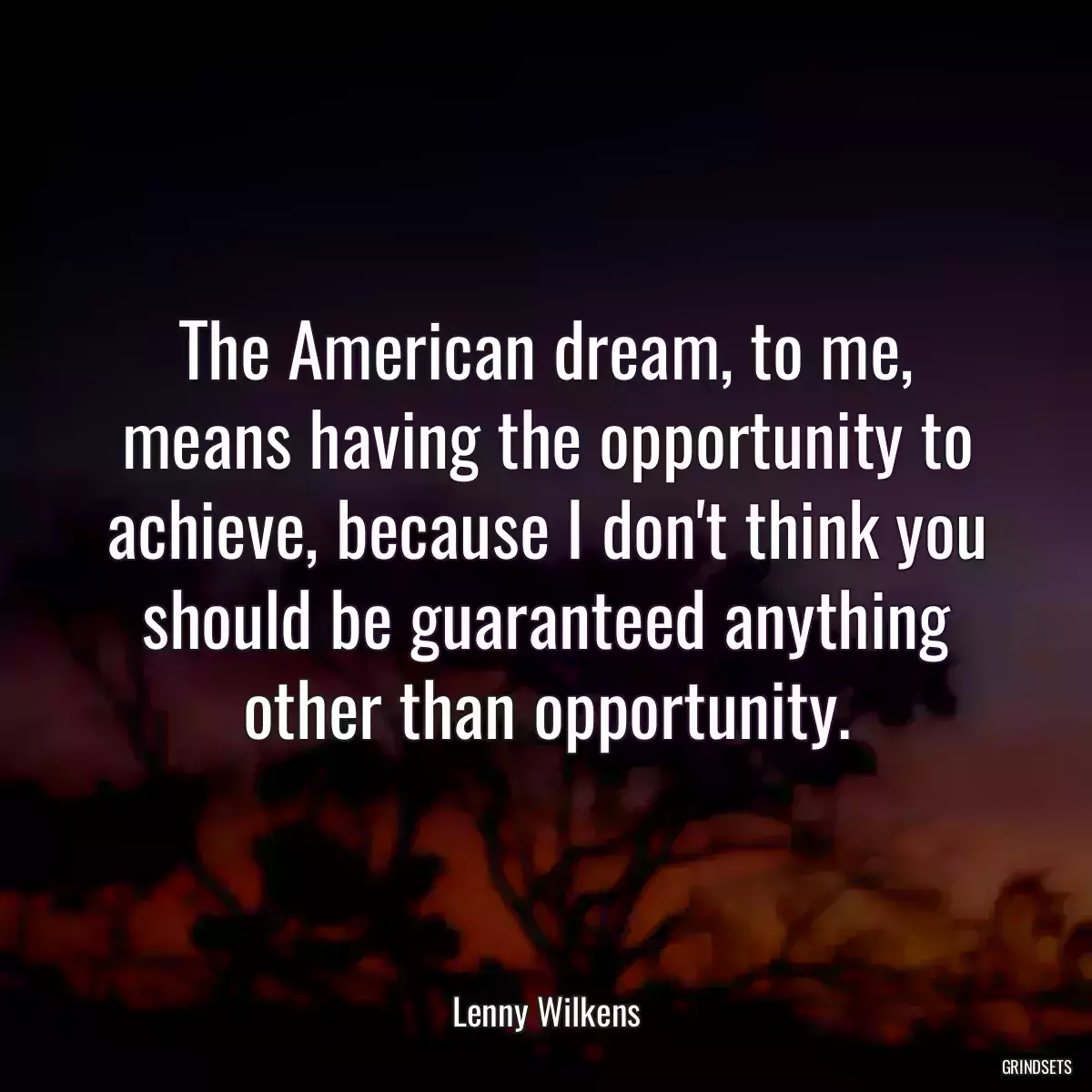 The American dream, to me, means having the opportunity to achieve, because I don\'t think you should be guaranteed anything other than opportunity.