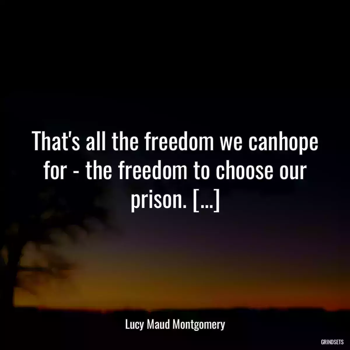 That\'s all the freedom we canhope for - the freedom to choose our prison. [...]