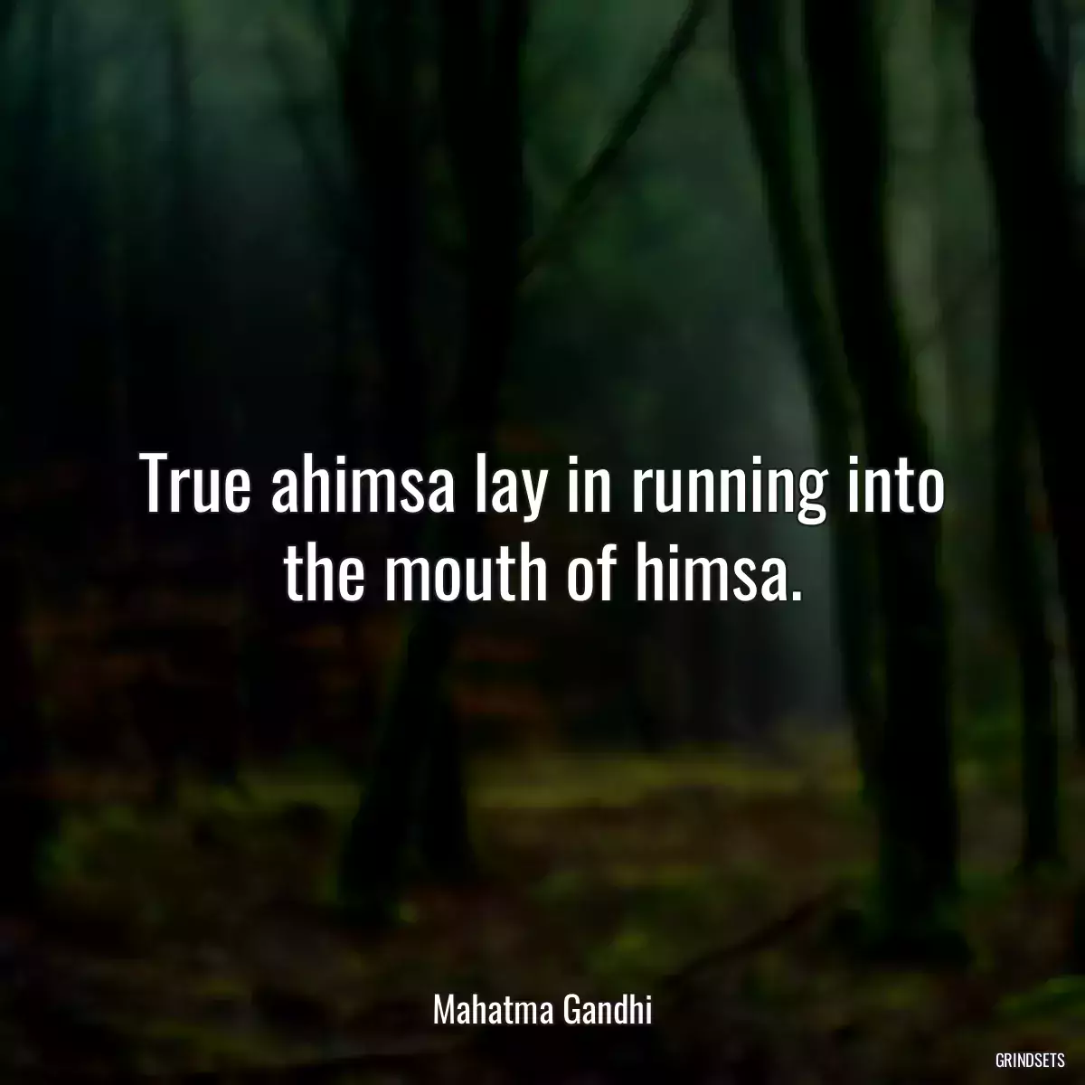 True ahimsa lay in running into the mouth of himsa.