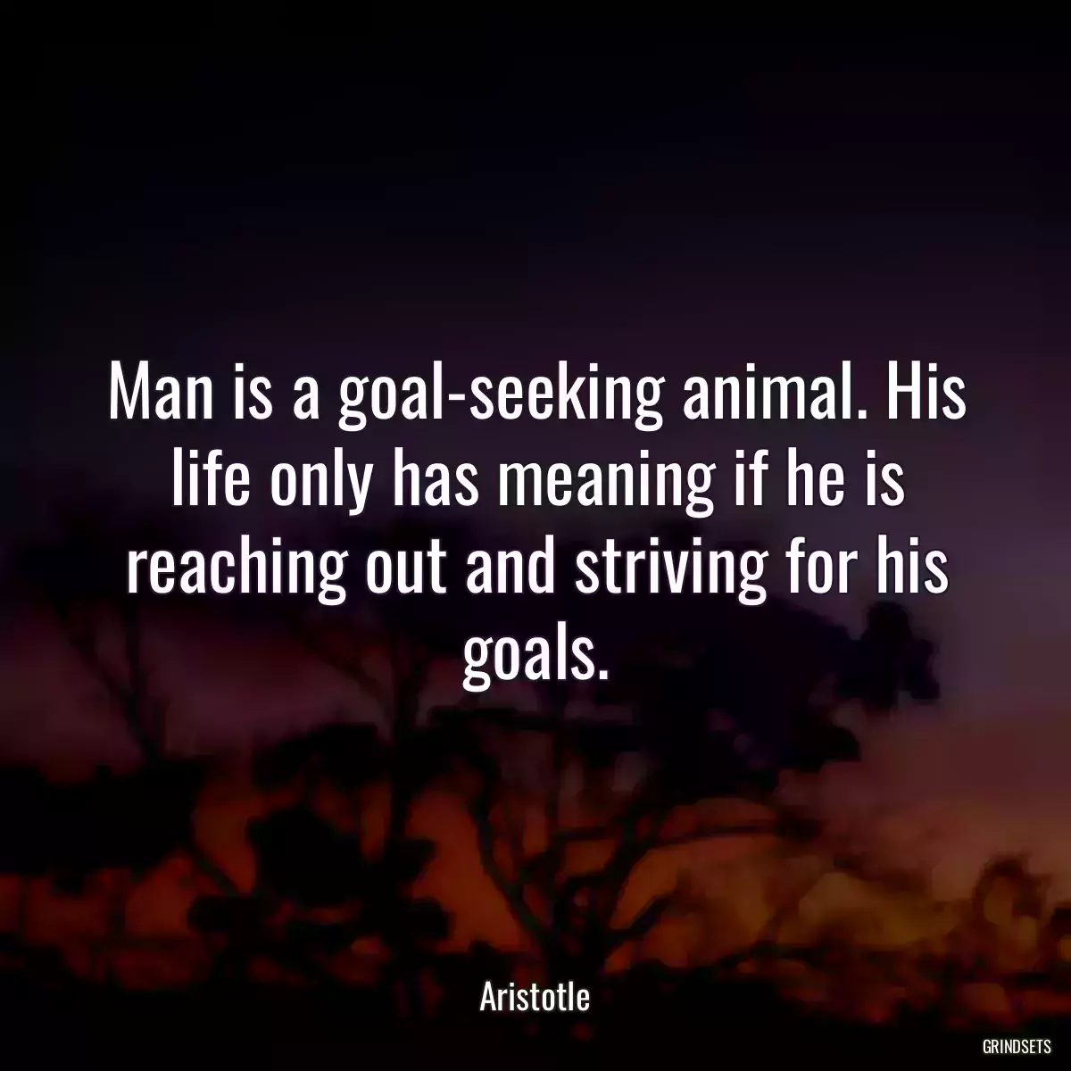 Man is a goal-seeking animal. His life only has meaning if he is reaching out and striving for his goals.