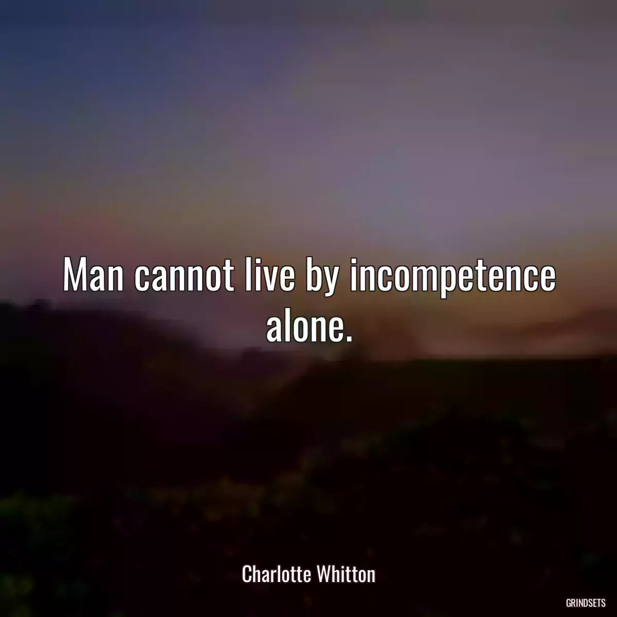 Man cannot live by incompetence alone.