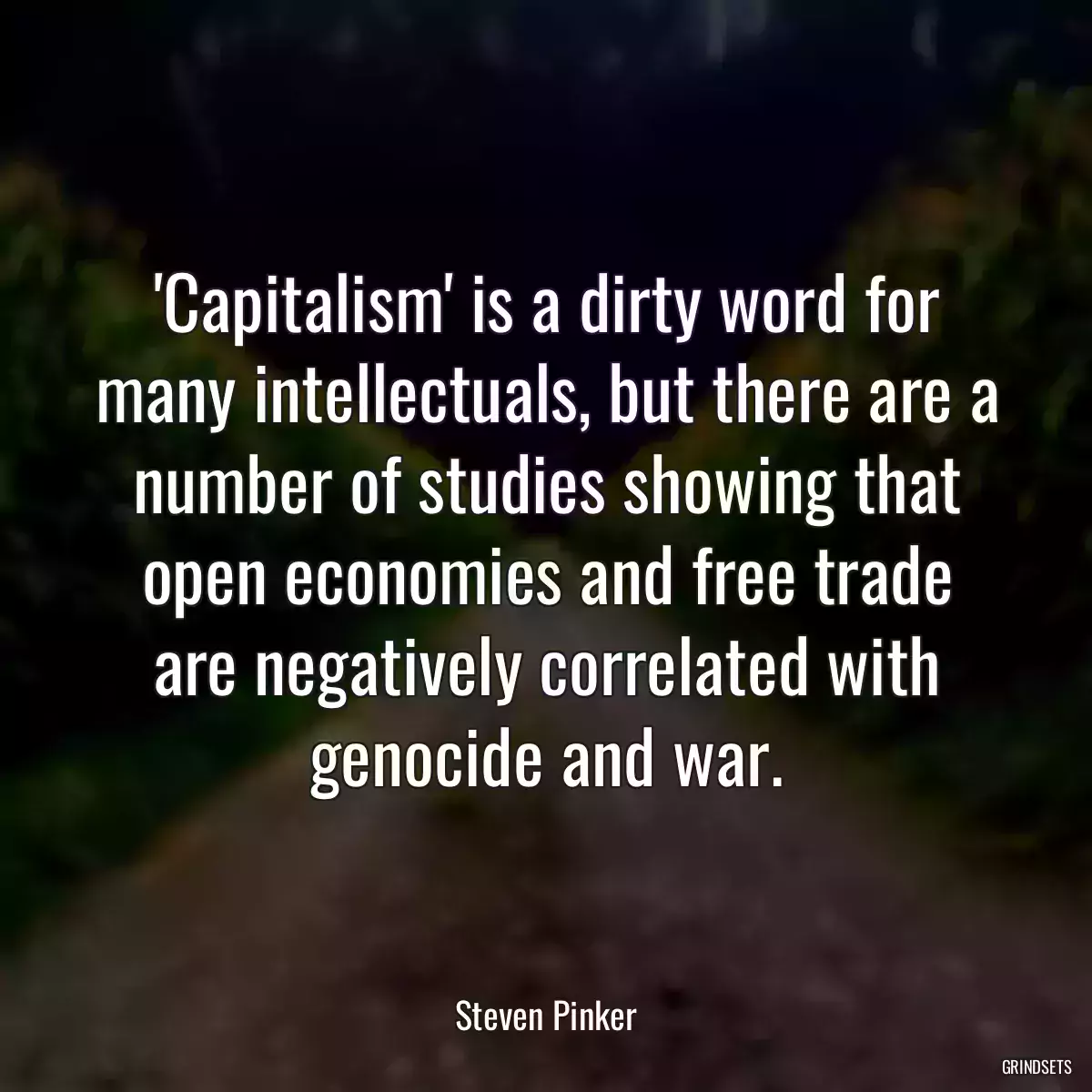 \'Capitalism\' is a dirty word for many intellectuals, but there are a number of studies showing that open economies and free trade are negatively correlated with genocide and war.