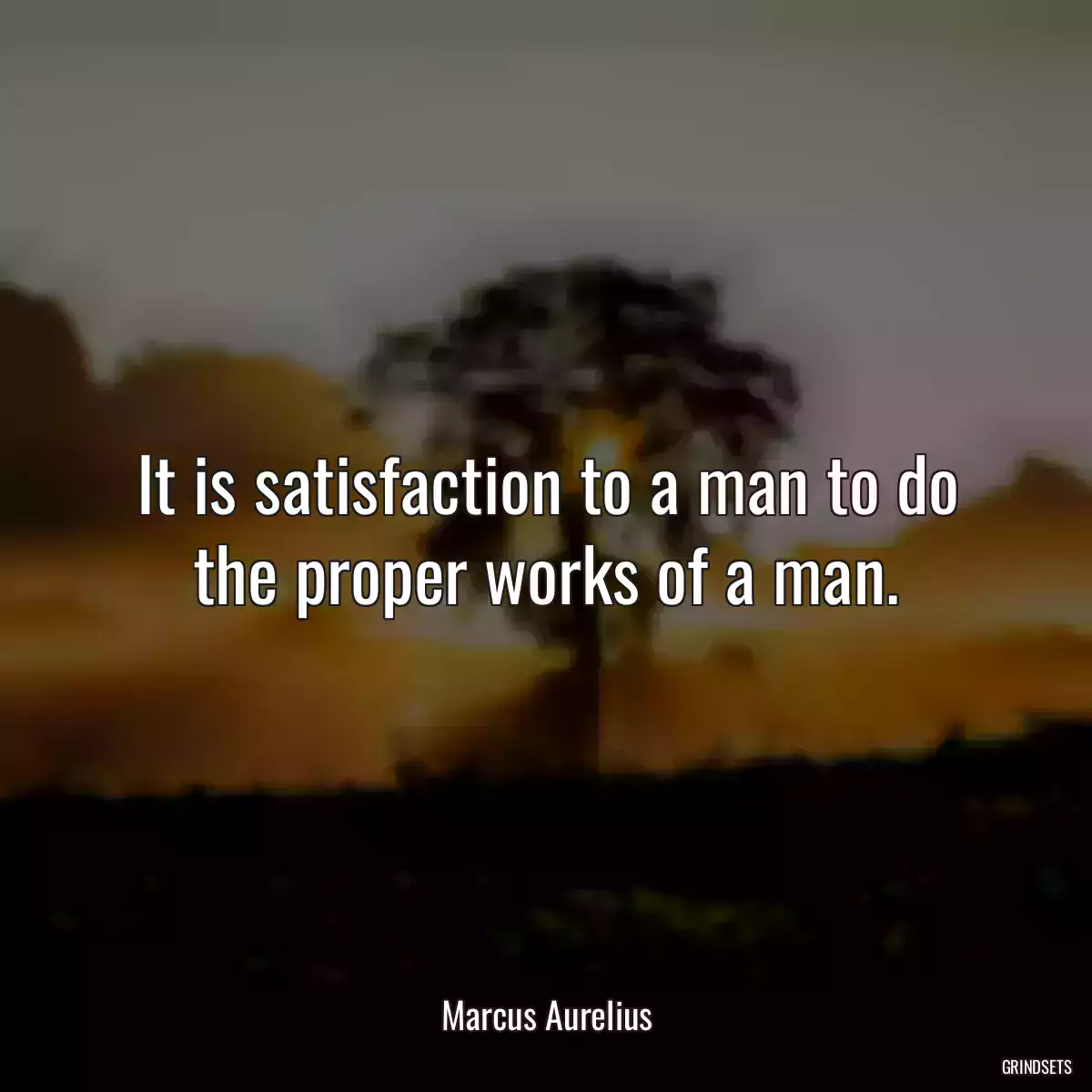 It is satisfaction to a man to do the proper works of a man.