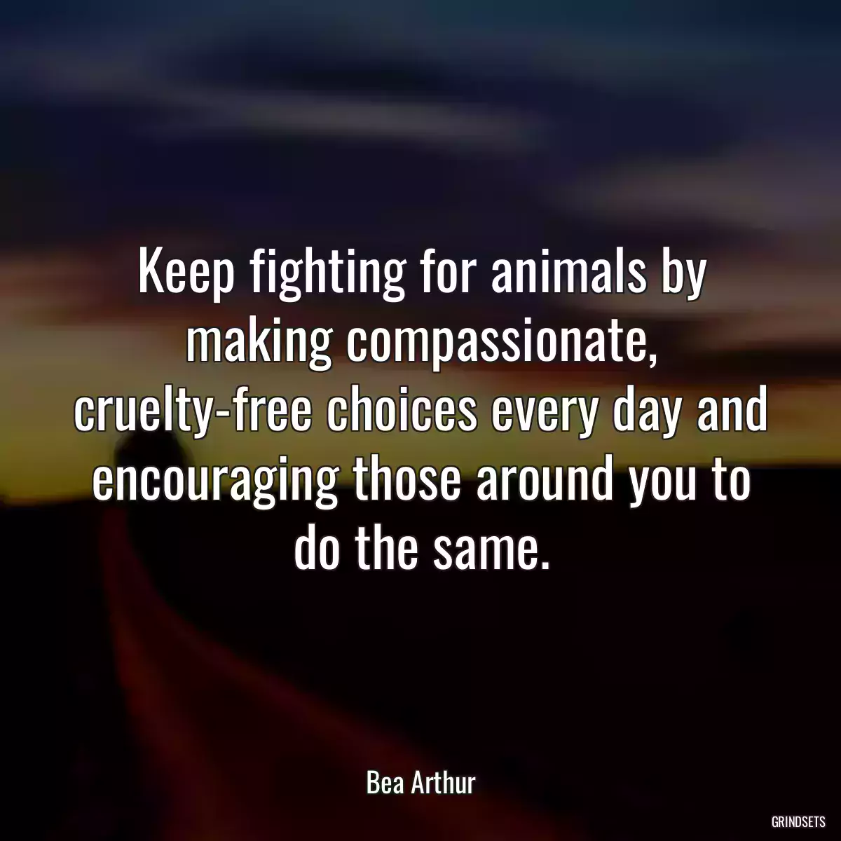 Keep fighting for animals by making compassionate, cruelty-free choices every day and encouraging those around you to do the same.