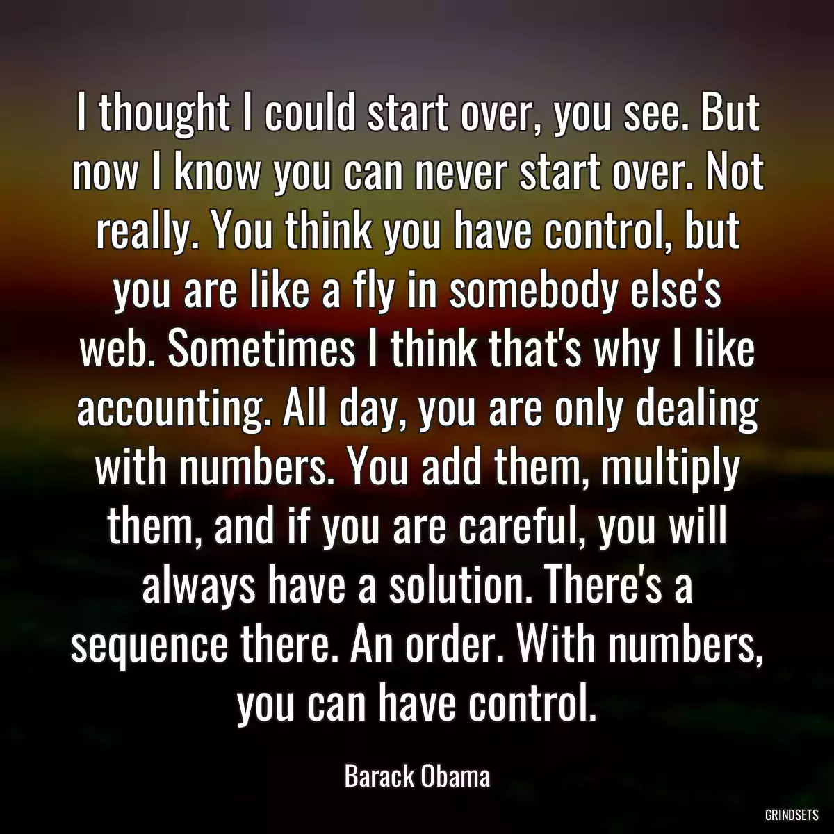 I thought I could start over, you see. But now I know you can never start over. Not really. You think you have control, but you are like a fly in somebody else\'s web. Sometimes I think that\'s why I like accounting. All day, you are only dealing with numbers. You add them, multiply them, and if you are careful, you will always have a solution. There\'s a sequence there. An order. With numbers, you can have control.