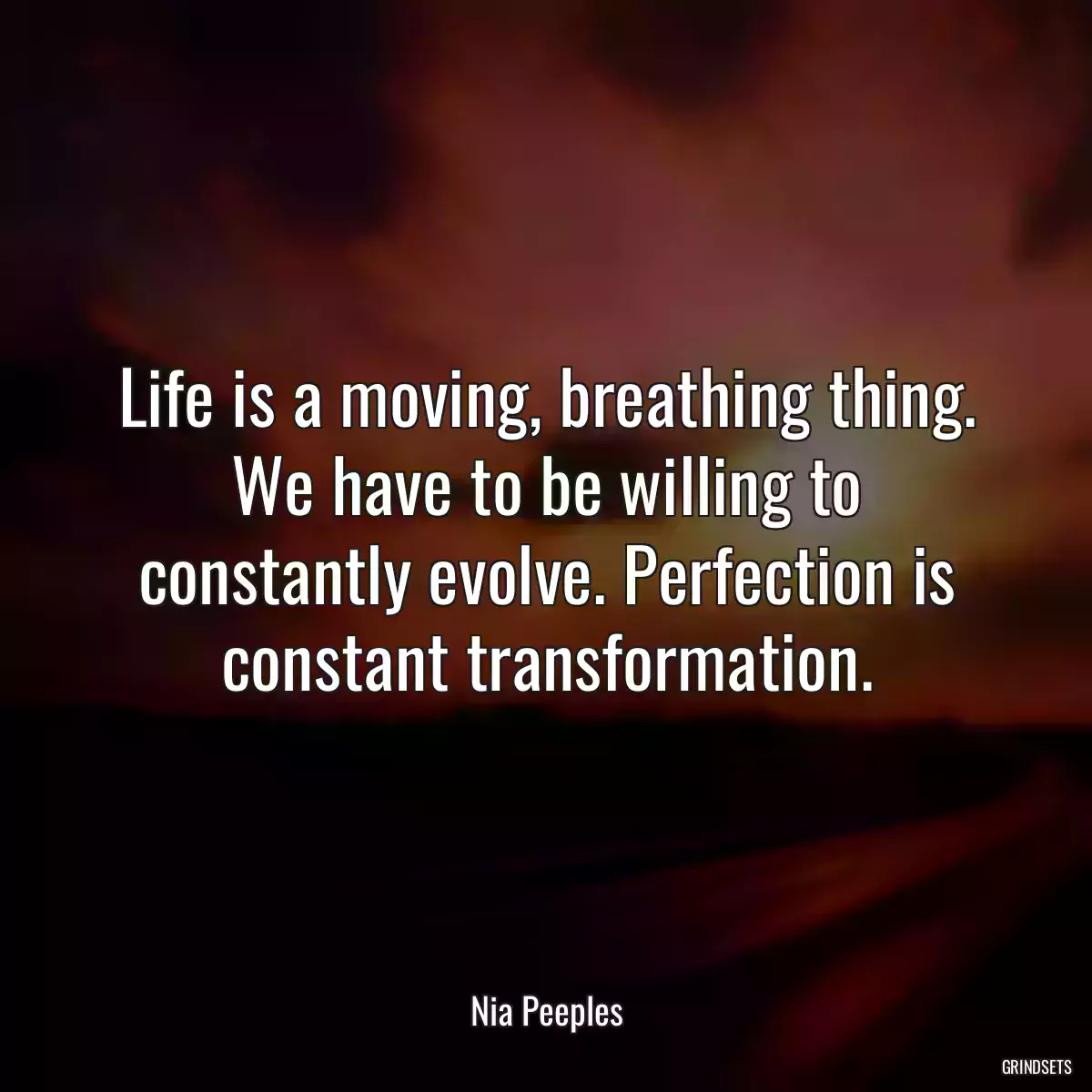 Life is a moving, breathing thing. We have to be willing to constantly evolve. Perfection is constant transformation.