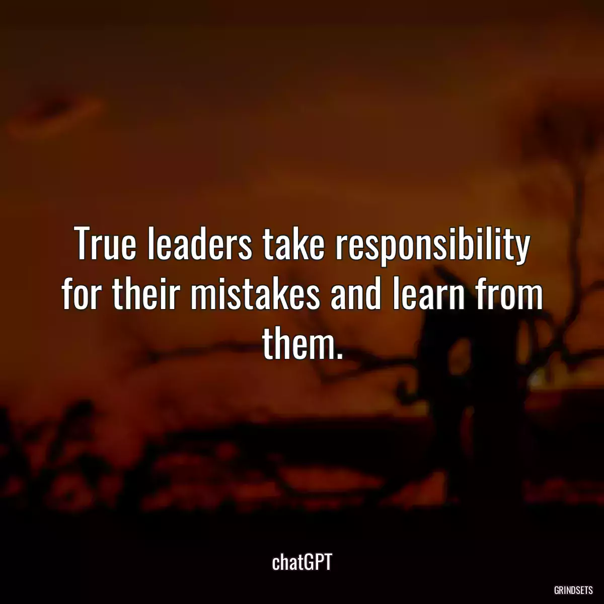 True leaders take responsibility for their mistakes and learn from them.