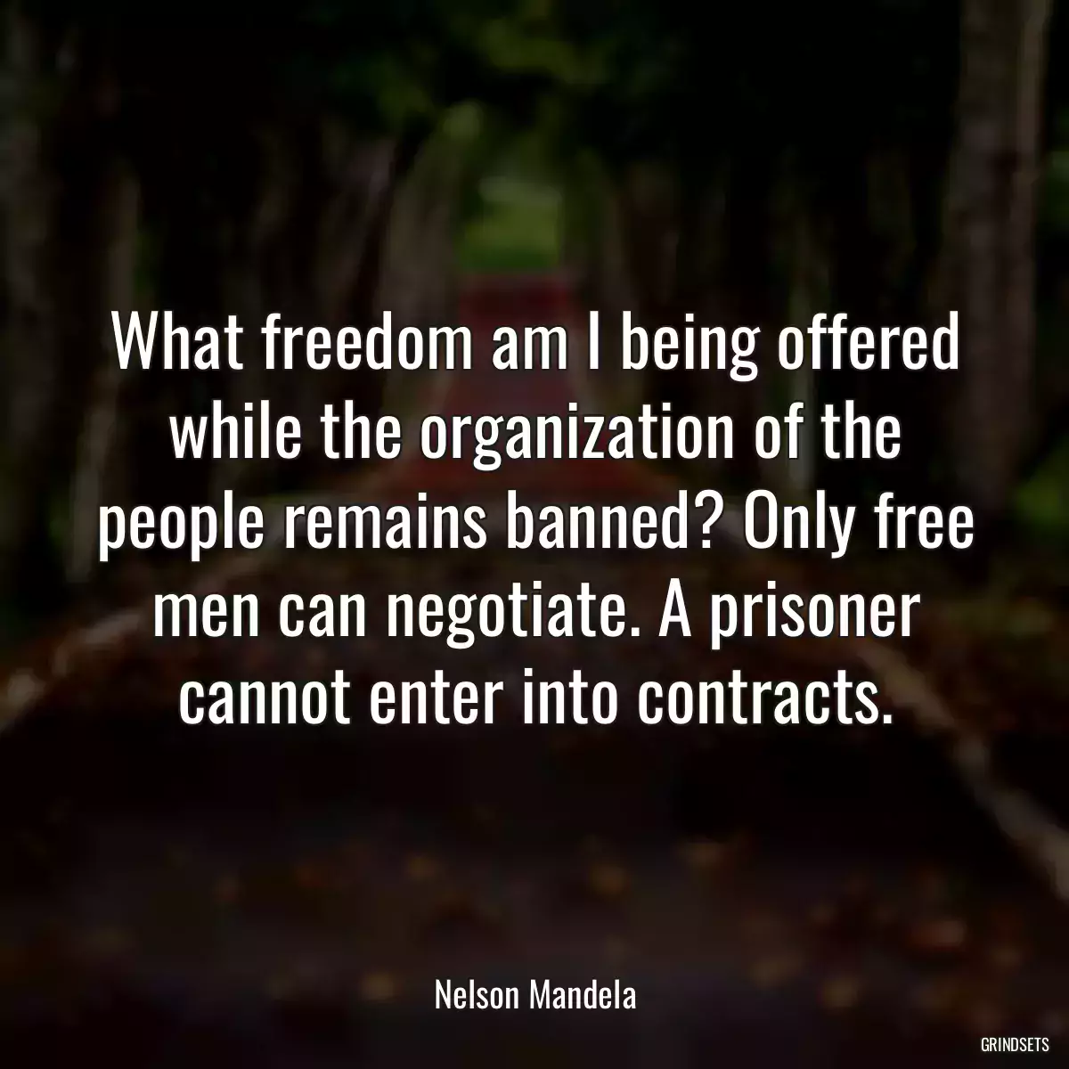 What freedom am I being offered while the organization of the people remains banned? Only free men can negotiate. A prisoner cannot enter into contracts.