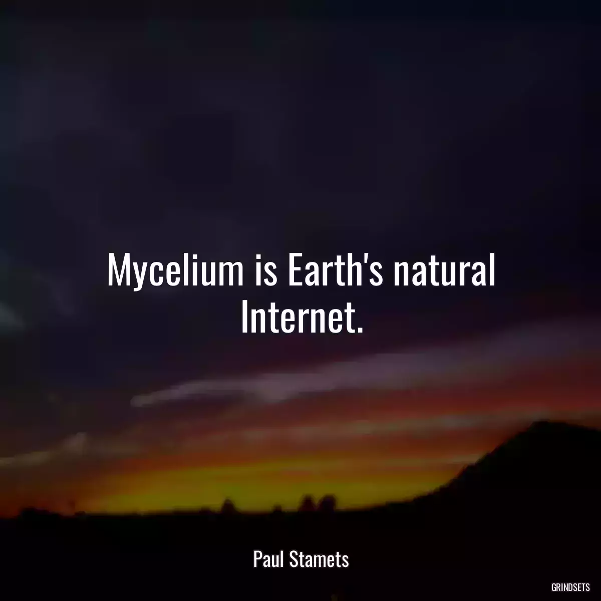 Mycelium is Earth\'s natural Internet.