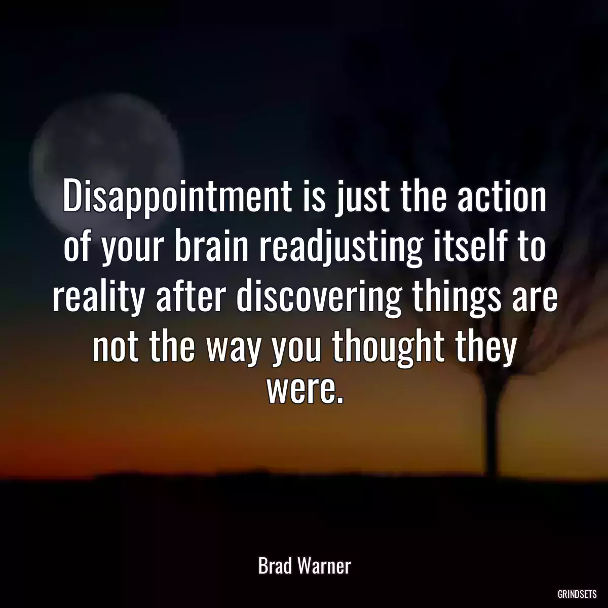 Disappointment is just the action of your brain readjusting itself to reality after discovering things are not the way you thought they were.