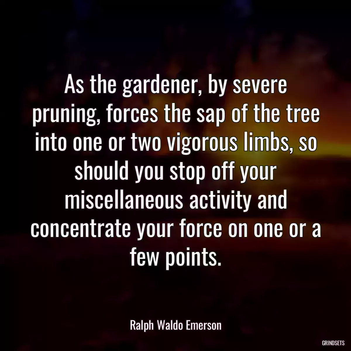 As the gardener, by severe pruning, forces the sap of the tree into one or two vigorous limbs, so should you stop off your miscellaneous activity and concentrate your force on one or a few points.