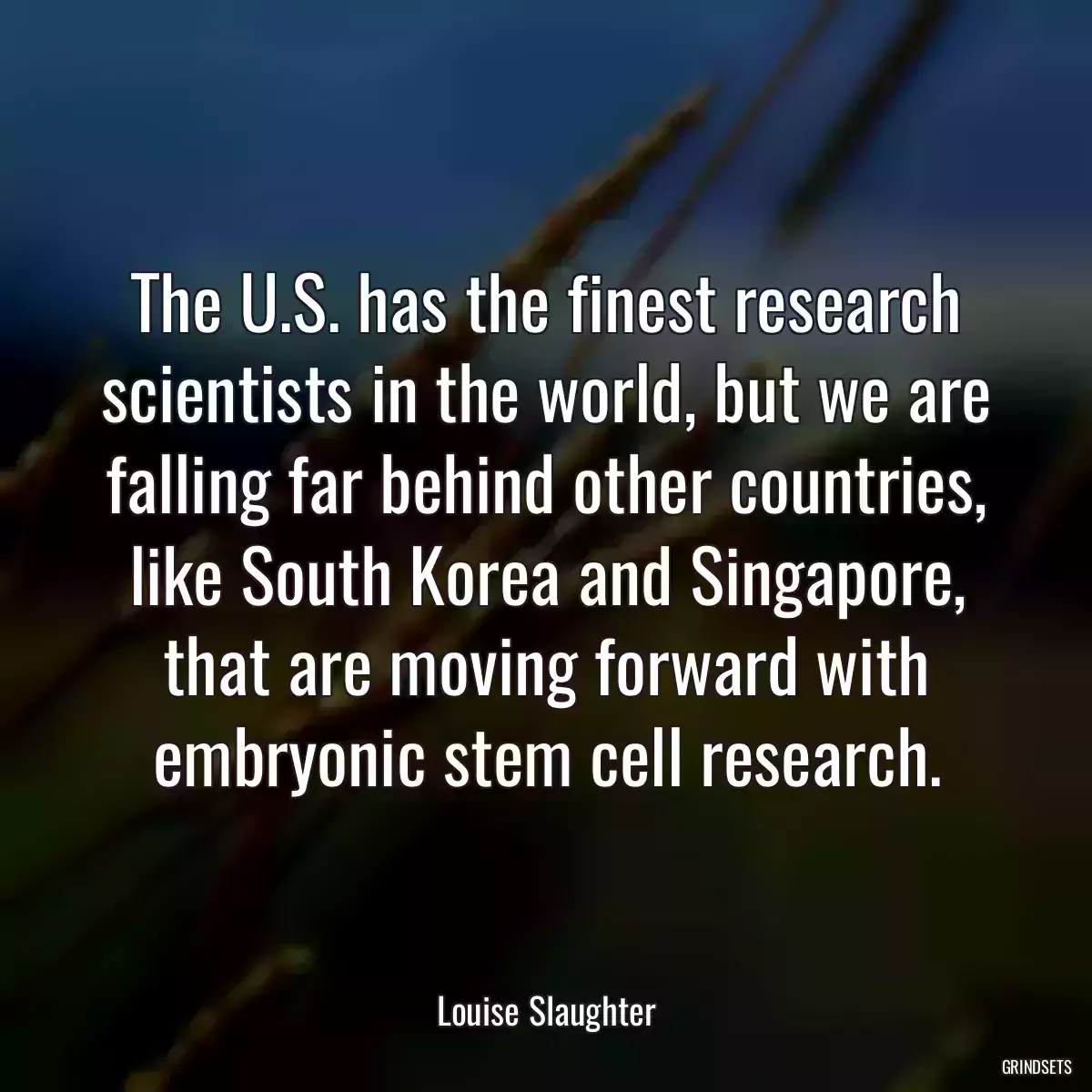 The U.S. has the finest research scientists in the world, but we are falling far behind other countries, like South Korea and Singapore, that are moving forward with embryonic stem cell research.