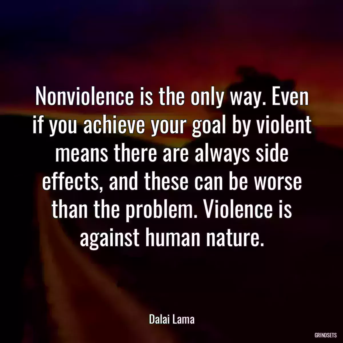 Nonviolence is the only way. Even if you achieve your goal by violent means there are always side effects, and these can be worse than the problem. Violence is against human nature.