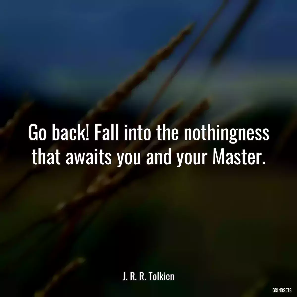 Go back! Fall into the nothingness that awaits you and your Master.