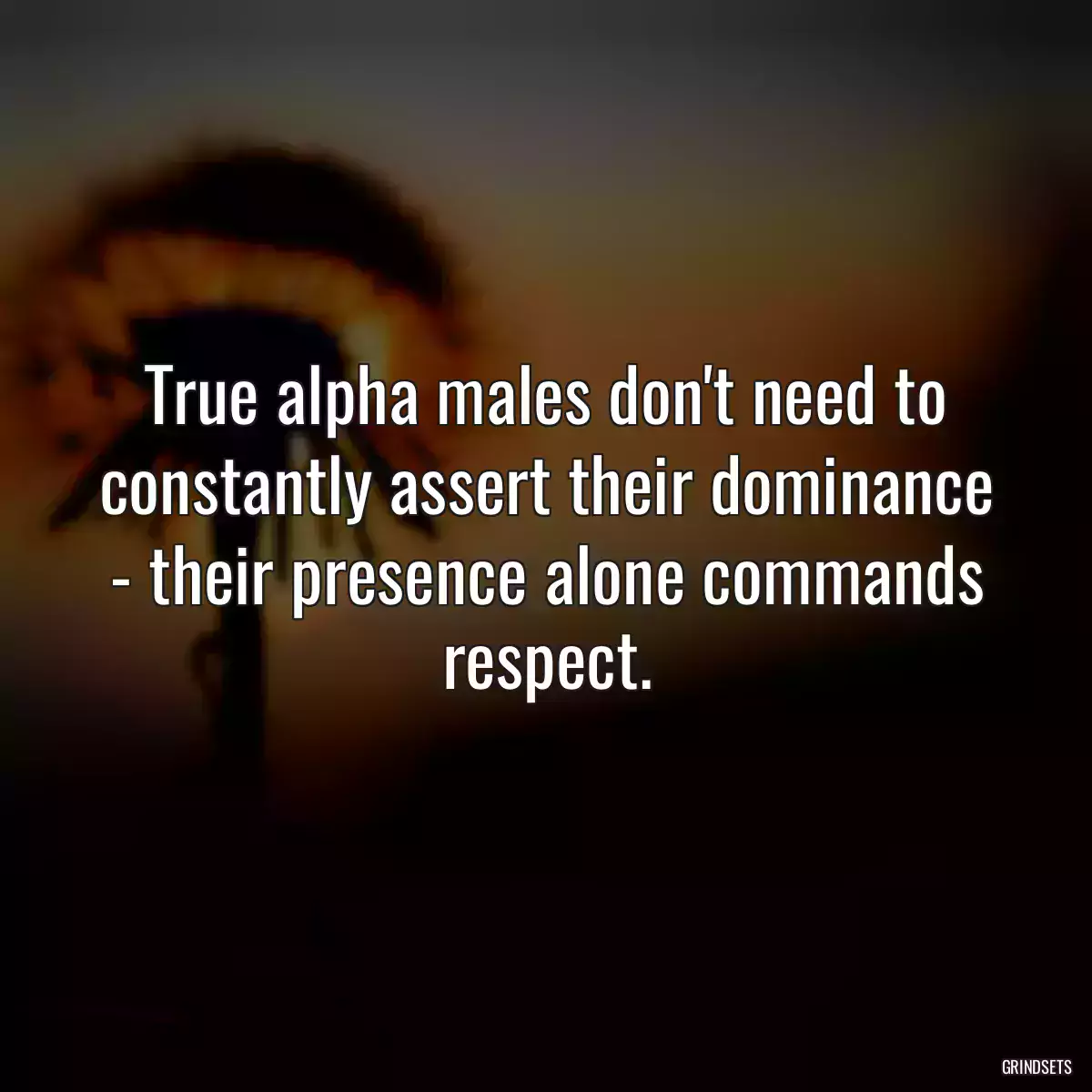 True alpha males don\'t need to constantly assert their dominance - their presence alone commands respect.