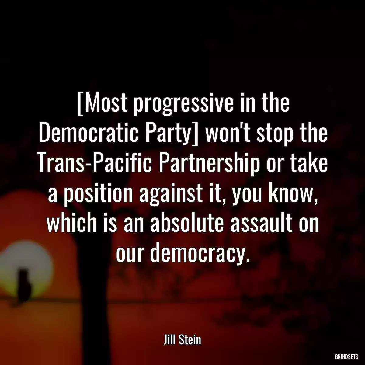 [Most progressive in the Democratic Party] won\'t stop the Trans-Pacific Partnership or take a position against it, you know, which is an absolute assault on our democracy.