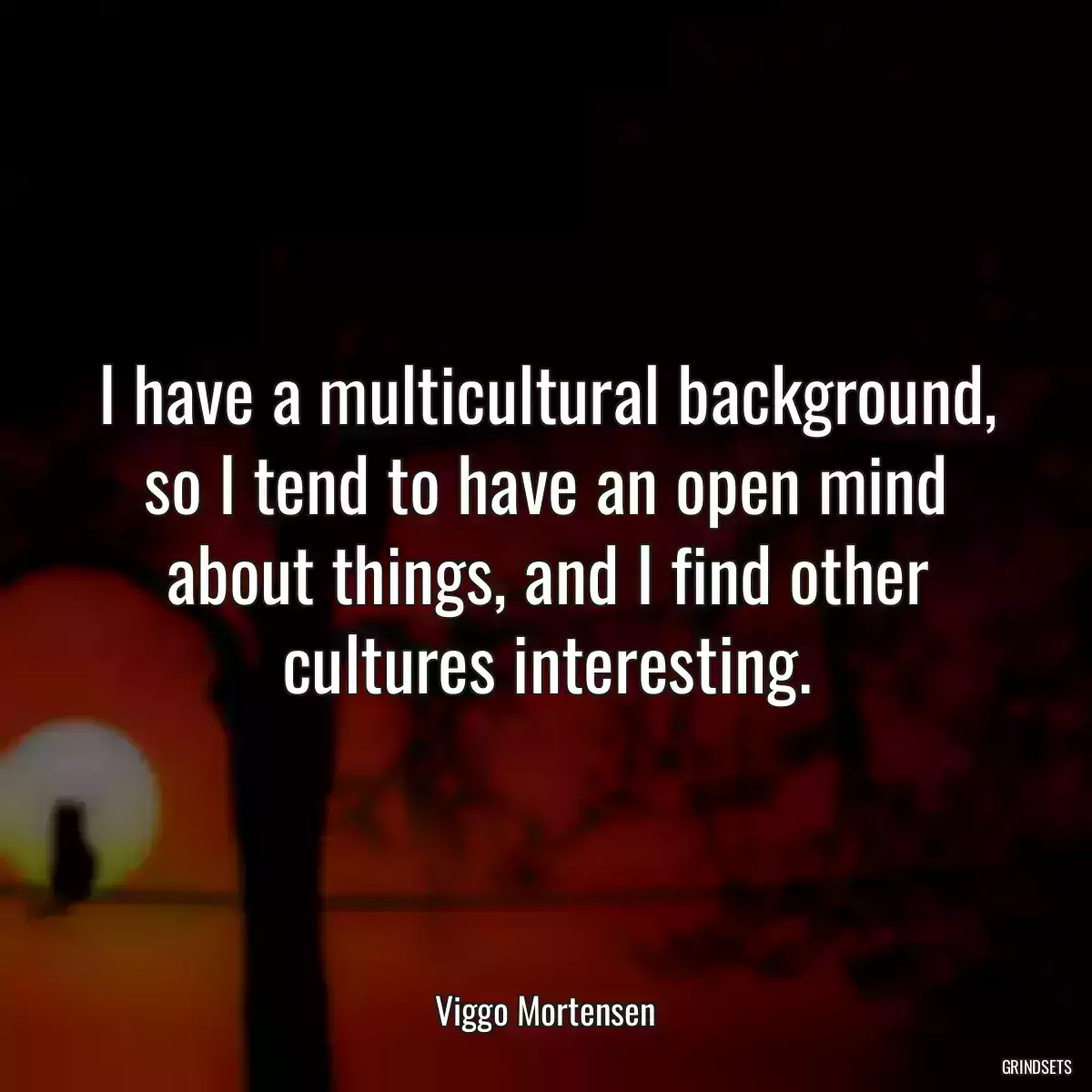 I have a multicultural background, so I tend to have an open mind about things, and I find other cultures interesting.