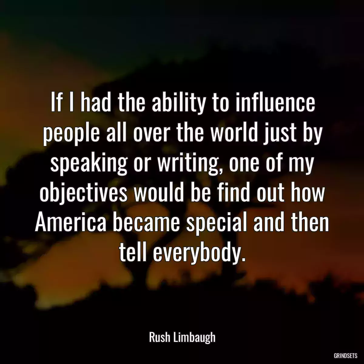 If I had the ability to influence people all over the world just by speaking or writing, one of my objectives would be find out how America became special and then tell everybody.