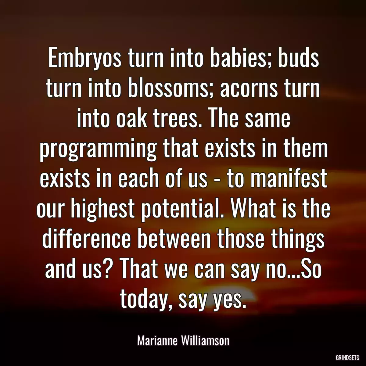 Embryos turn into babies; buds turn into blossoms; acorns turn into oak trees. The same programming that exists in them exists in each of us - to manifest our highest potential. What is the difference between those things and us? That we can say no...So today, say yes.