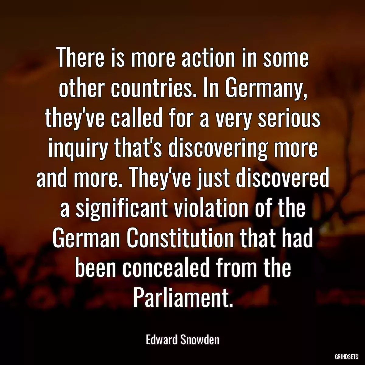 There is more action in some other countries. In Germany, they\'ve called for a very serious inquiry that\'s discovering more and more. They\'ve just discovered a significant violation of the German Constitution that had been concealed from the Parliament.