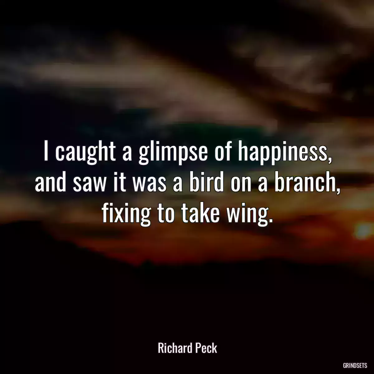 I caught a glimpse of happiness, and saw it was a bird on a branch, fixing to take wing.