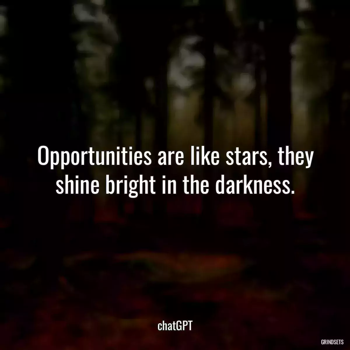 Opportunities are like stars, they shine bright in the darkness.