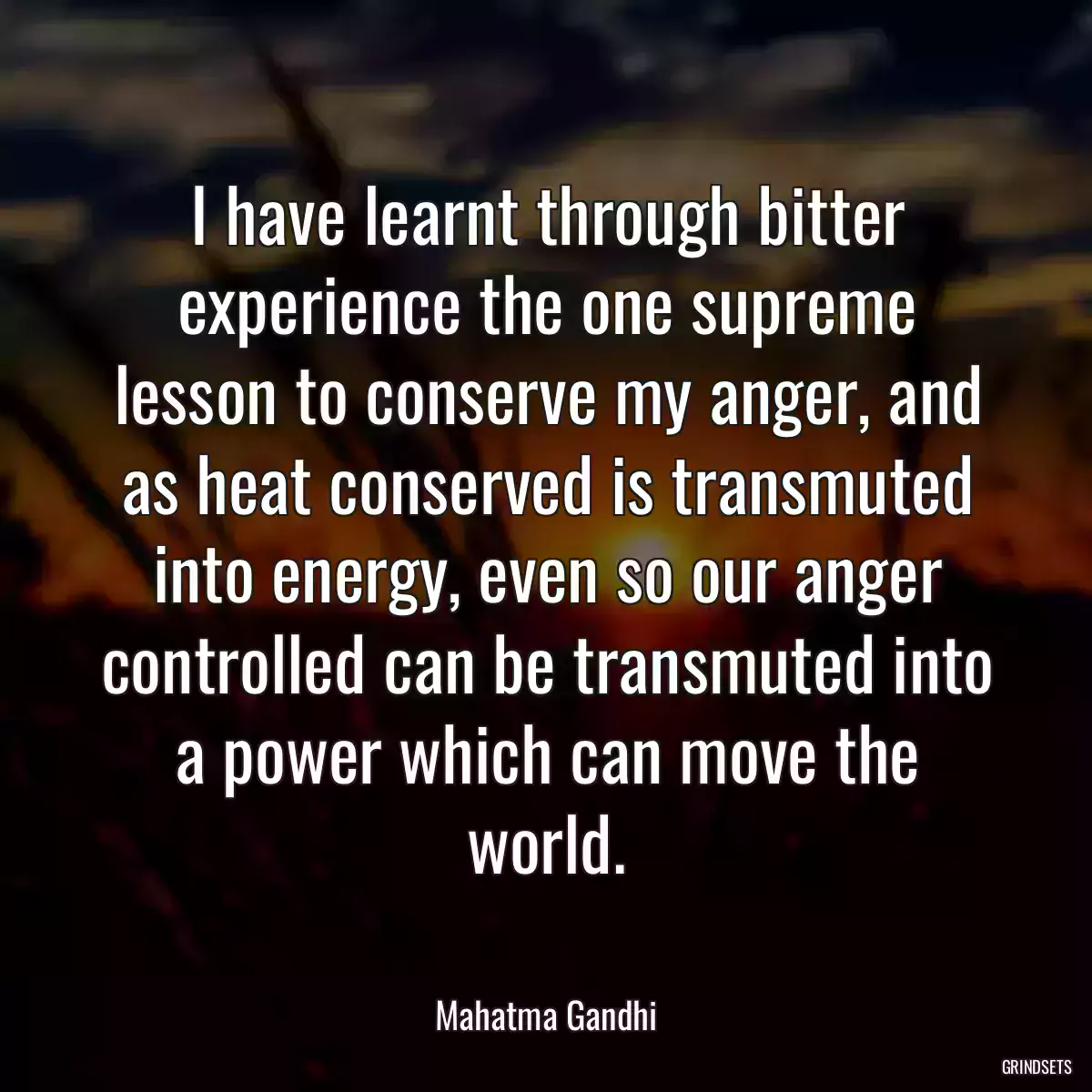 I have learnt through bitter experience the one supreme lesson to conserve my anger, and as heat conserved is transmuted into energy, even so our anger controlled can be transmuted into a power which can move the world.