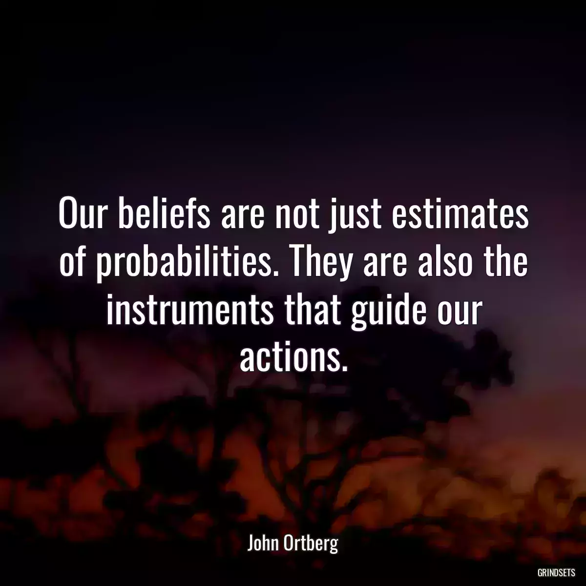 Our beliefs are not just estimates of probabilities. They are also the instruments that guide our actions.