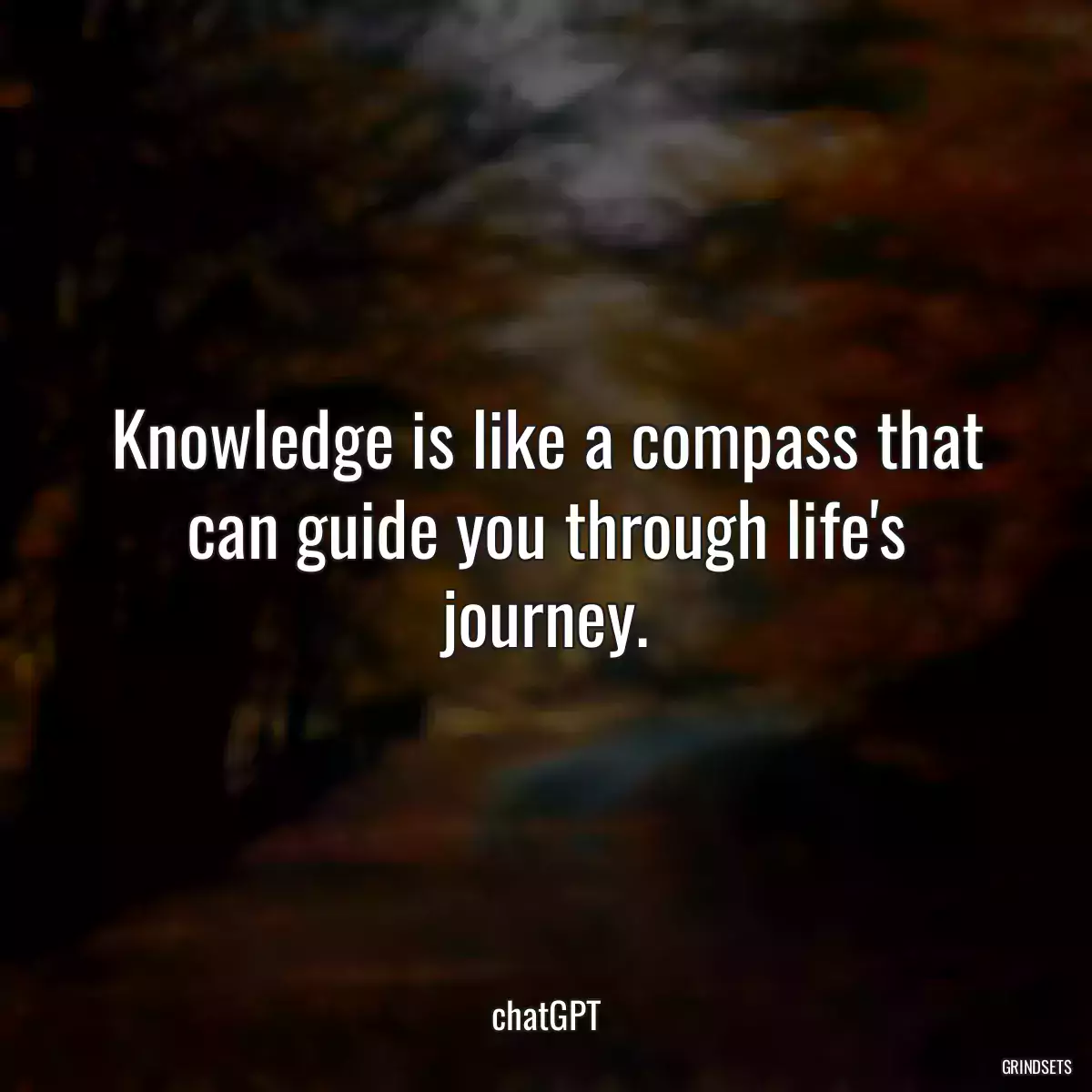 Knowledge is like a compass that can guide you through life\'s journey.