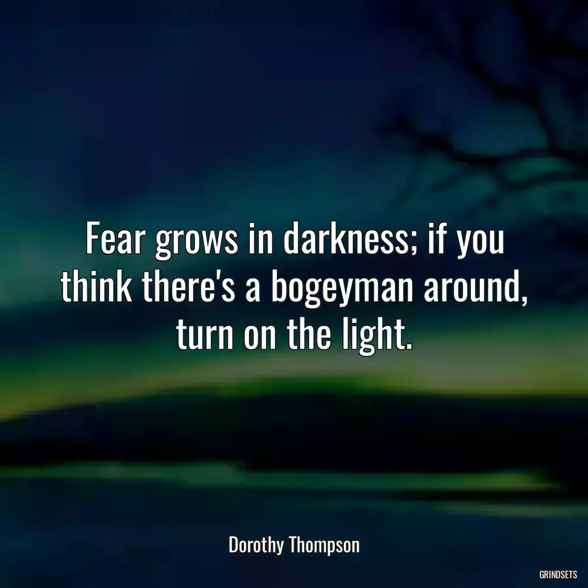 Fear grows in darkness; if you think there\'s a bogeyman around, turn on the light.