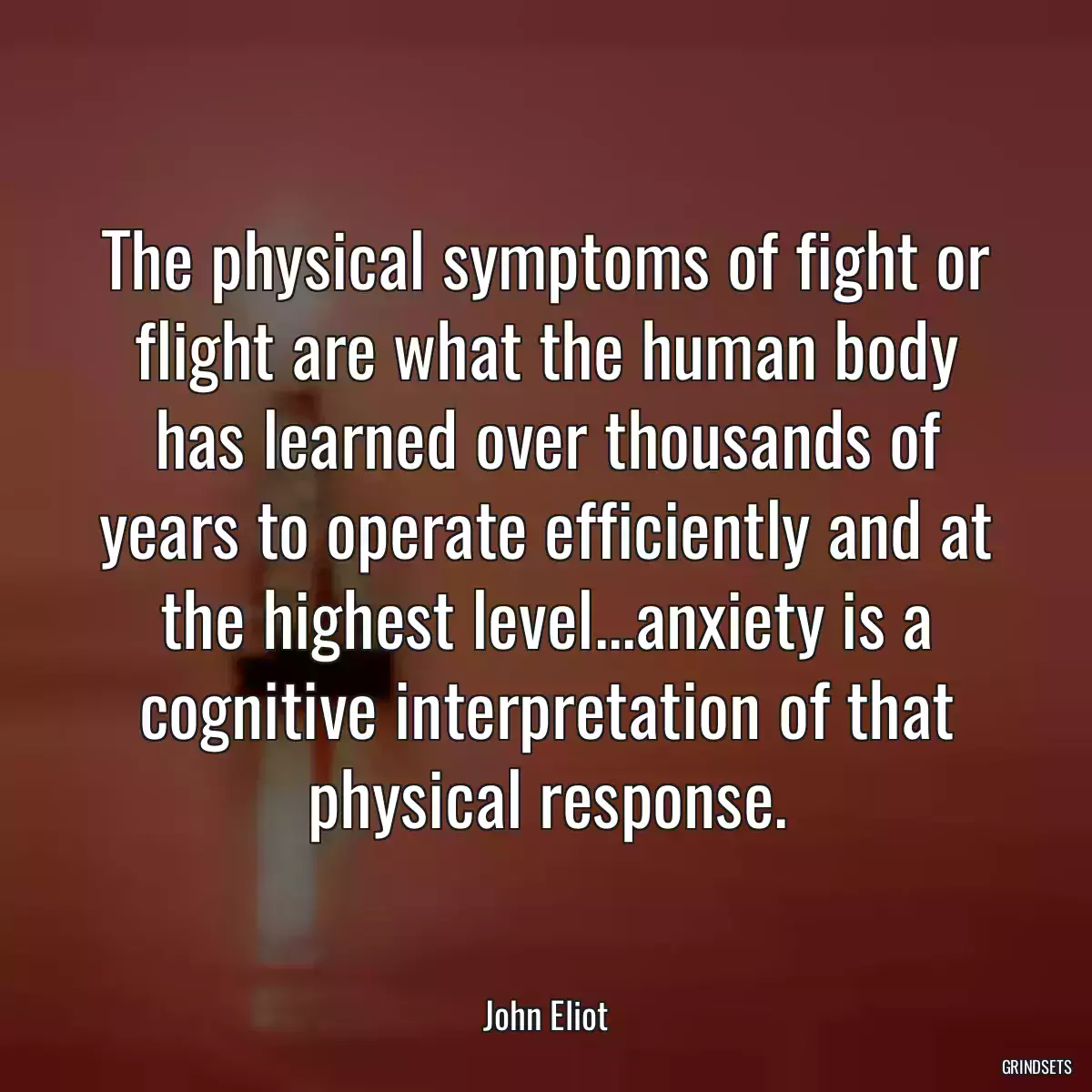 The physical symptoms of fight or flight are what the human body has learned over thousands of years to operate efficiently and at the highest level...anxiety is a cognitive interpretation of that physical response.