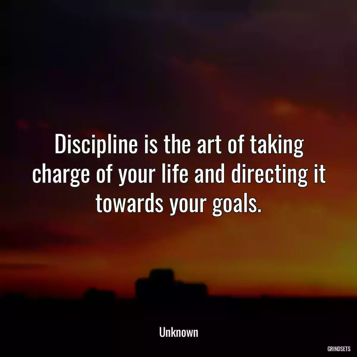 Discipline is the art of taking charge of your life and directing it towards your goals.