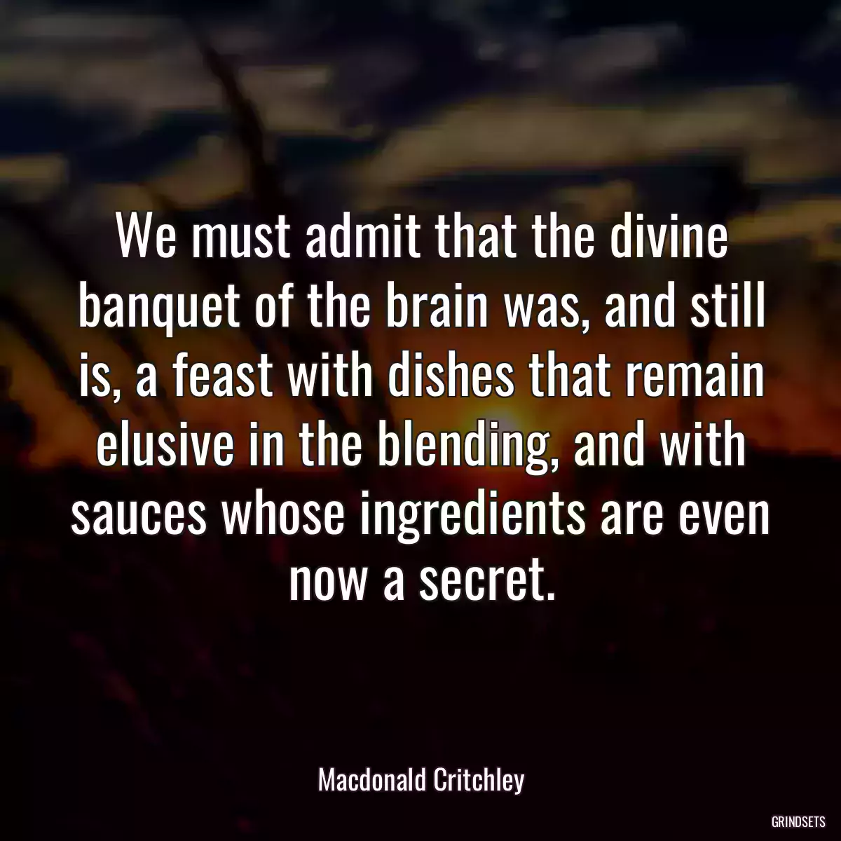 We must admit that the divine banquet of the brain was, and still is, a feast with dishes that remain elusive in the blending, and with sauces whose ingredients are even now a secret.