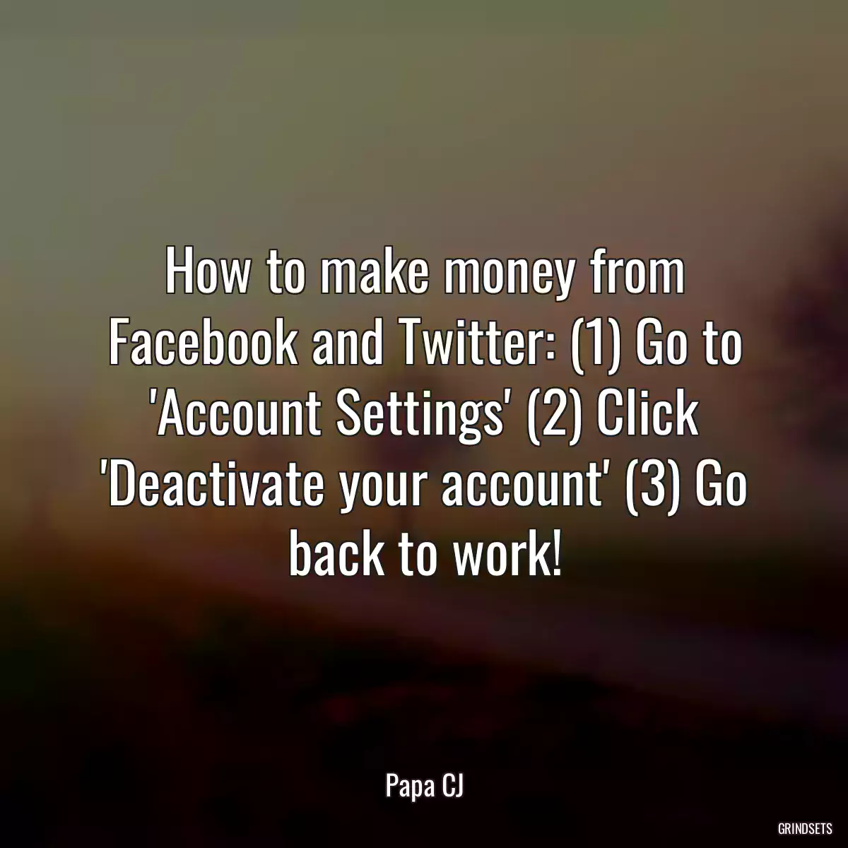 How to make money from Facebook and Twitter: (1) Go to \'Account Settings\' (2) Click \'Deactivate your account\' (3) Go back to work!