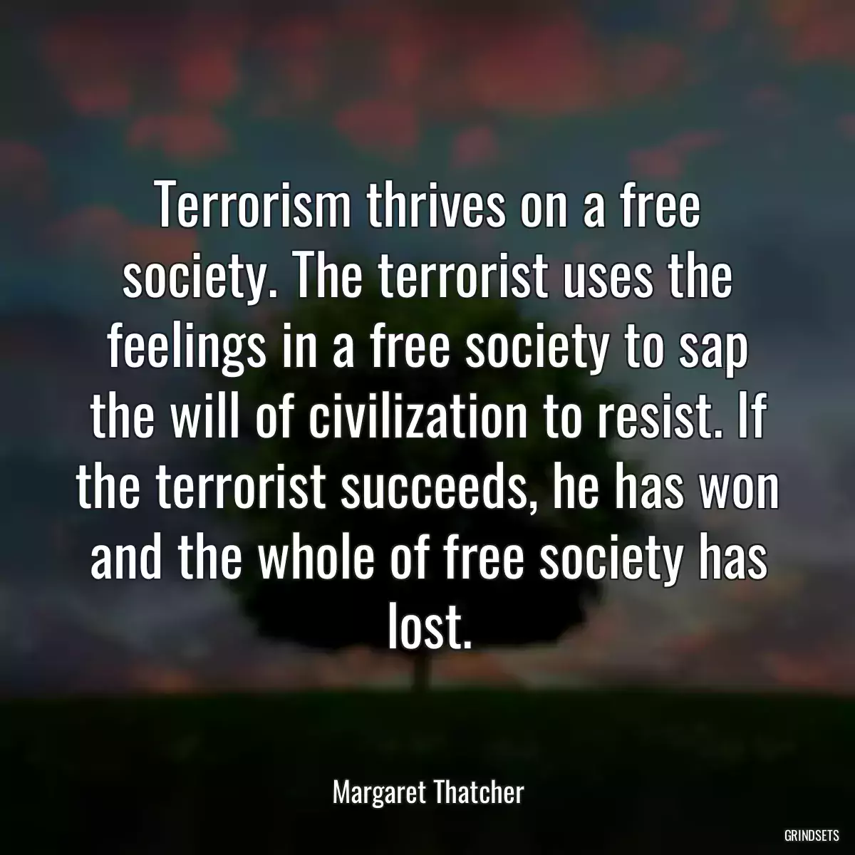 Terrorism thrives on a free society. The terrorist uses the feelings in a free society to sap the will of civilization to resist. If the terrorist succeeds, he has won and the whole of free society has lost.