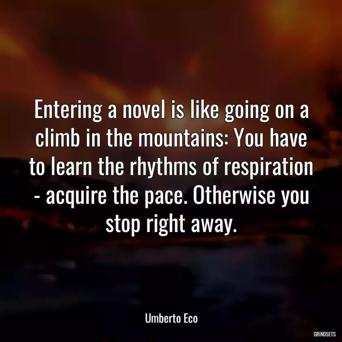 Entering a novel is like going on a climb in the mountains: You have to learn the rhythms of respiration - acquire the pace. Otherwise you stop right away.