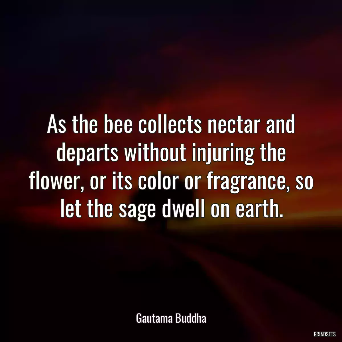 As the bee collects nectar and departs without injuring the flower, or its color or fragrance, so let the sage dwell on earth.