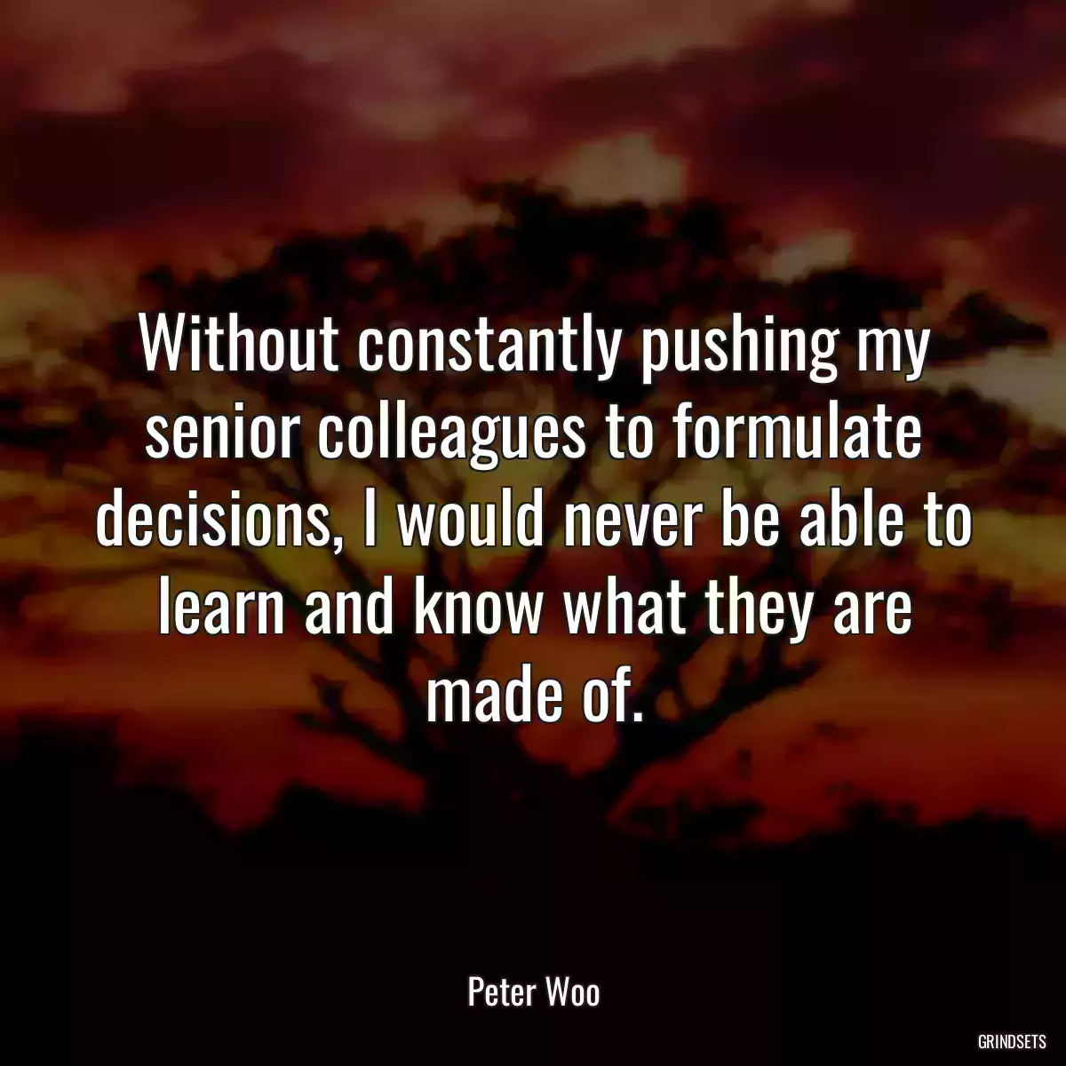 Without constantly pushing my senior colleagues to formulate decisions, I would never be able to learn and know what they are made of.