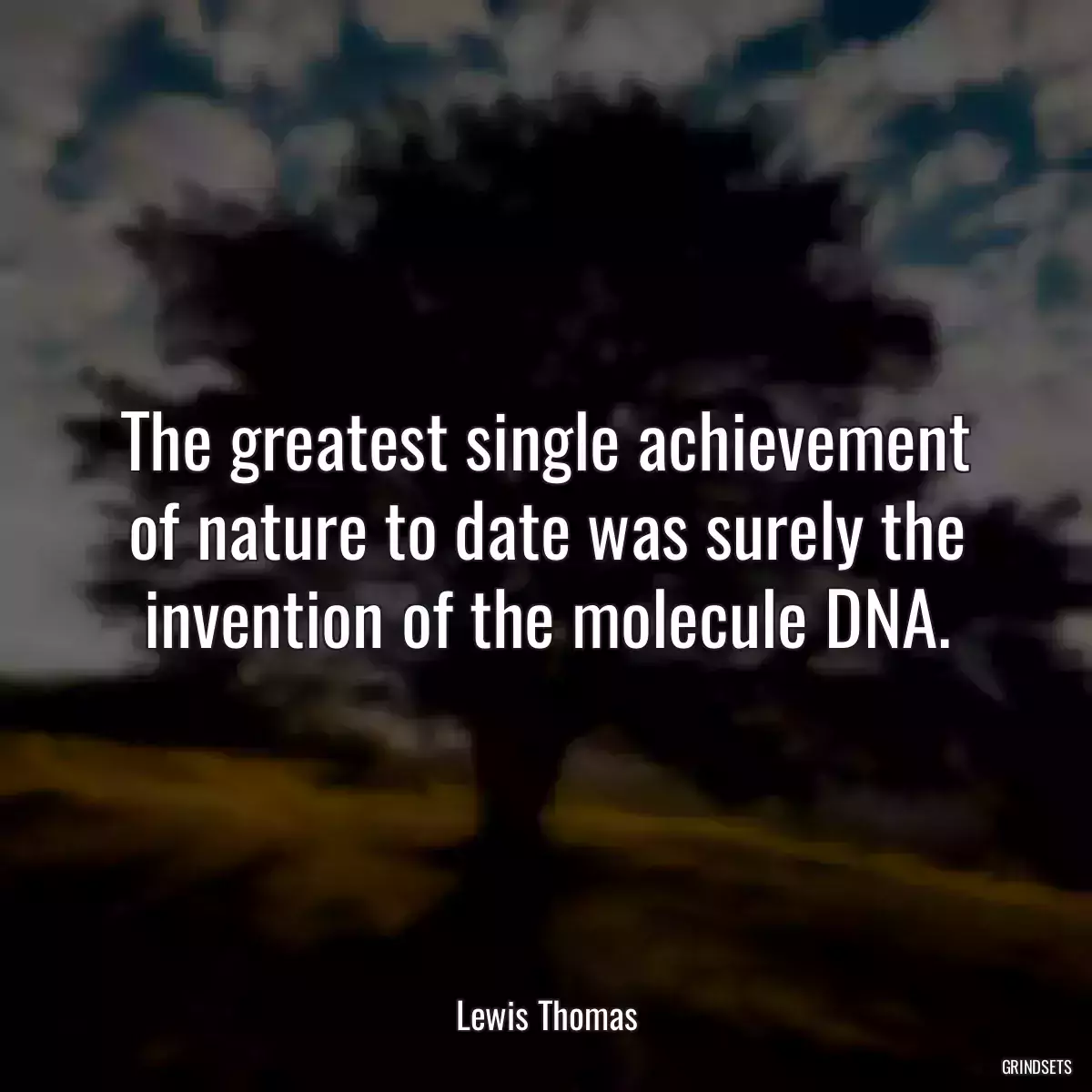 The greatest single achievement of nature to date was surely the invention of the molecule DNA.