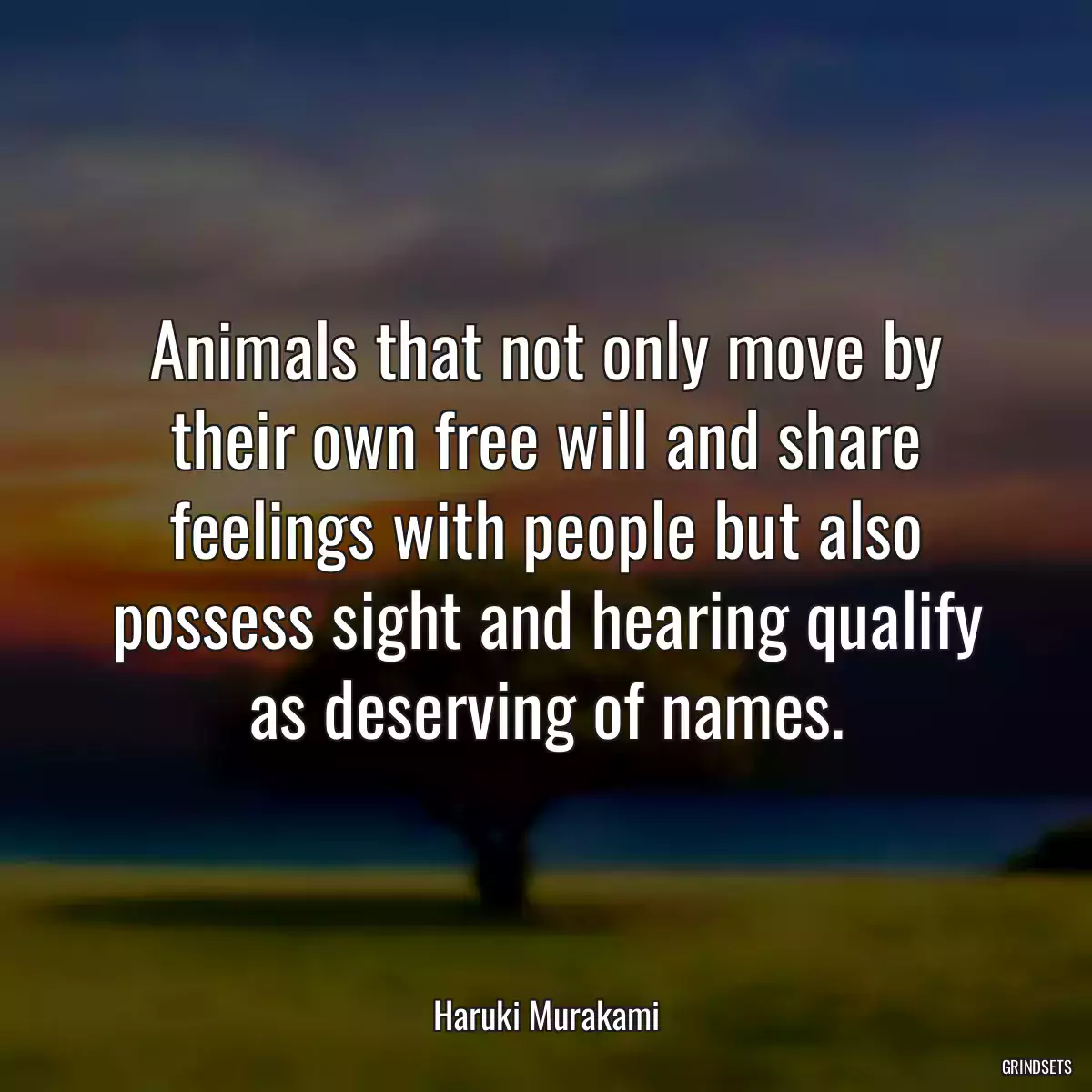 Animals that not only move by their own free will and share feelings with people but also possess sight and hearing qualify as deserving of names.