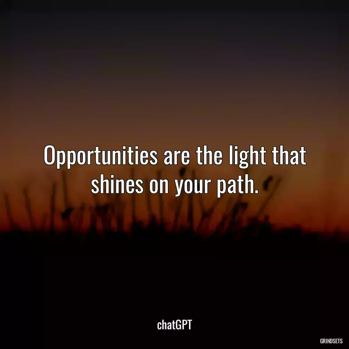 Opportunities are the light that shines on your path.