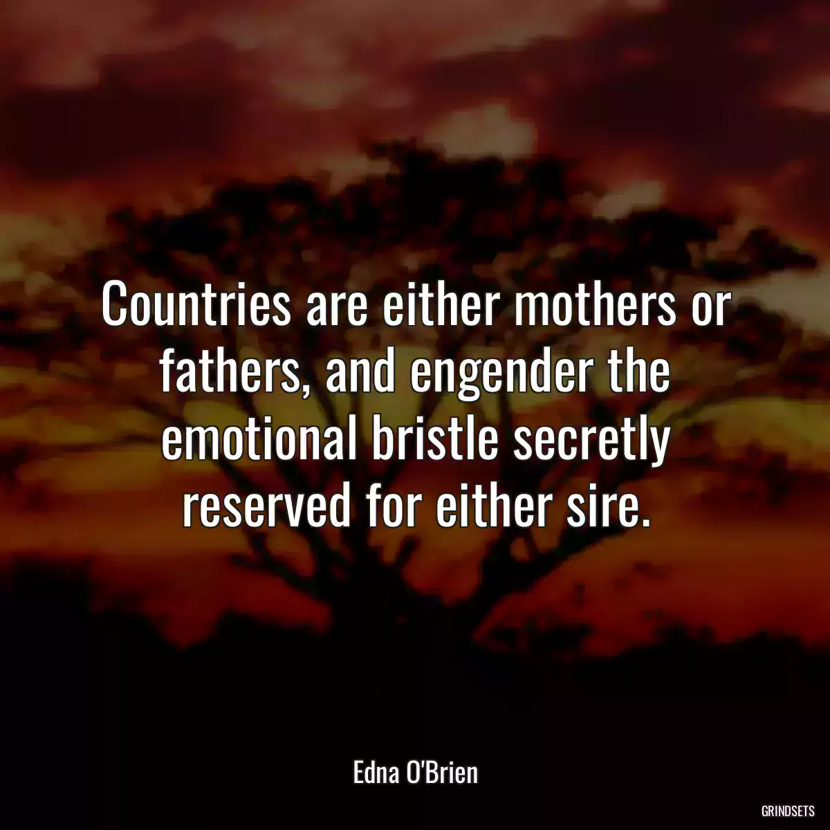 Countries are either mothers or fathers, and engender the emotional bristle secretly reserved for either sire.