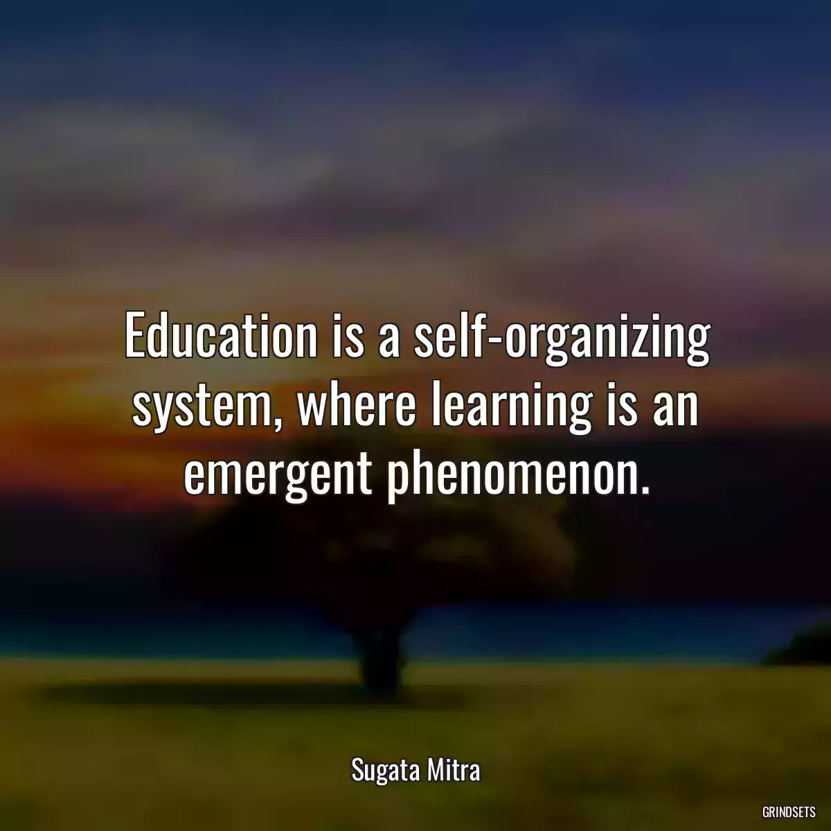 Education is a self-organizing system, where learning is an emergent phenomenon.