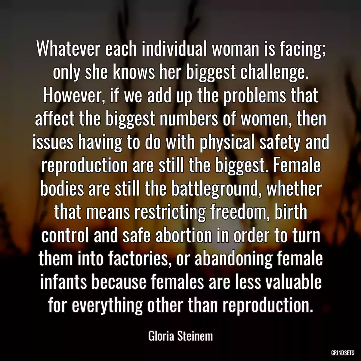 Whatever each individual woman is facing; only she knows her biggest challenge. However, if we add up the problems that affect the biggest numbers of women, then issues having to do with physical safety and reproduction are still the biggest. Female bodies are still the battleground, whether that means restricting freedom, birth control and safe abortion in order to turn them into factories, or abandoning female infants because females are less valuable for everything other than reproduction.