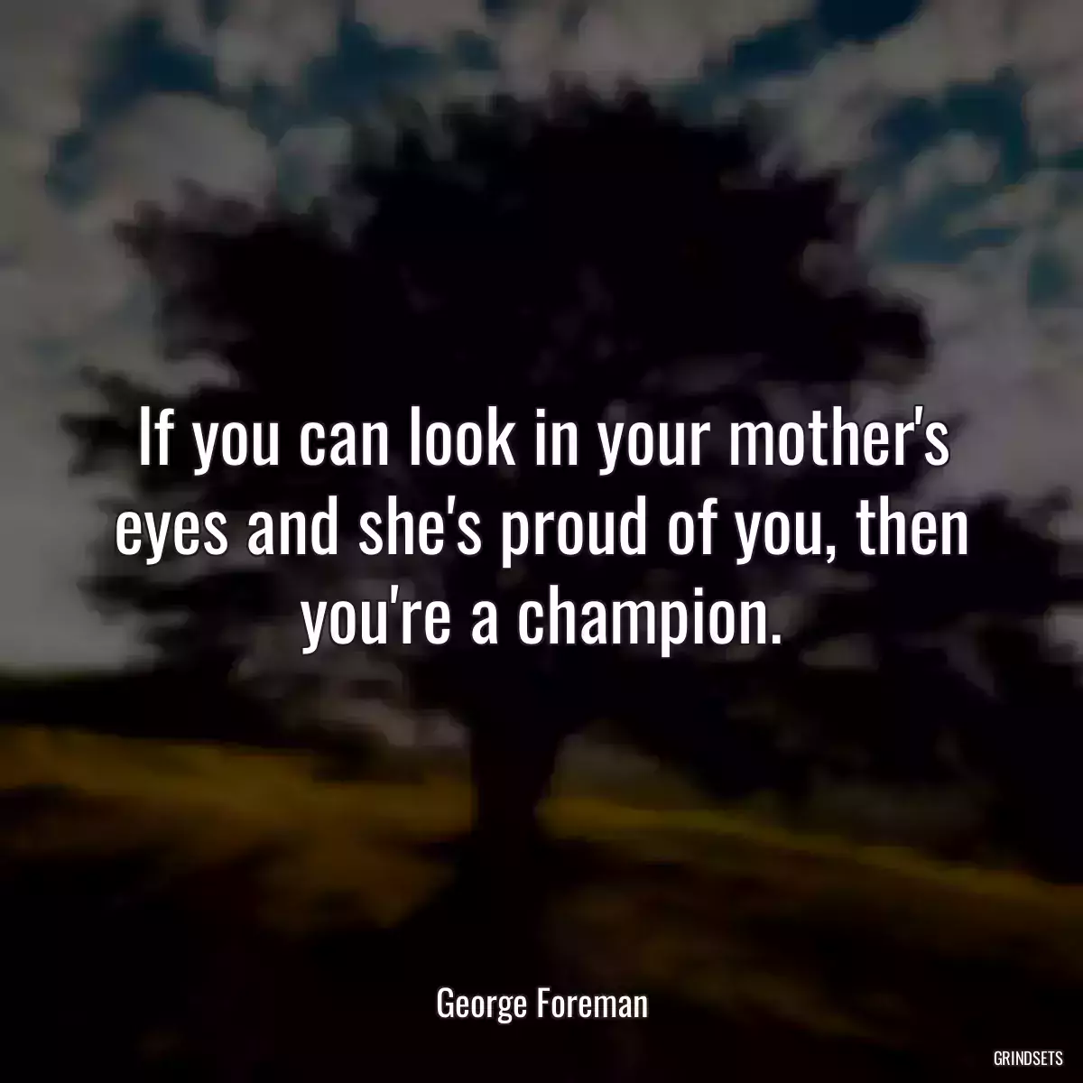 If you can look in your mother\'s eyes and she\'s proud of you, then you\'re a champion.