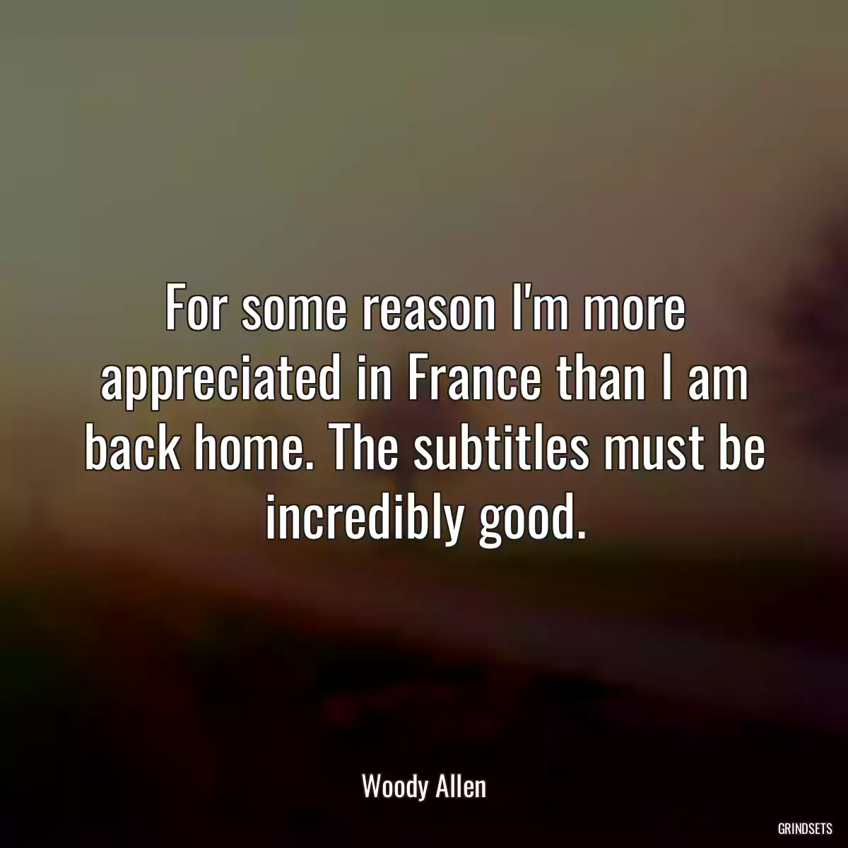 For some reason I\'m more appreciated in France than I am back home. The subtitles must be incredibly good.