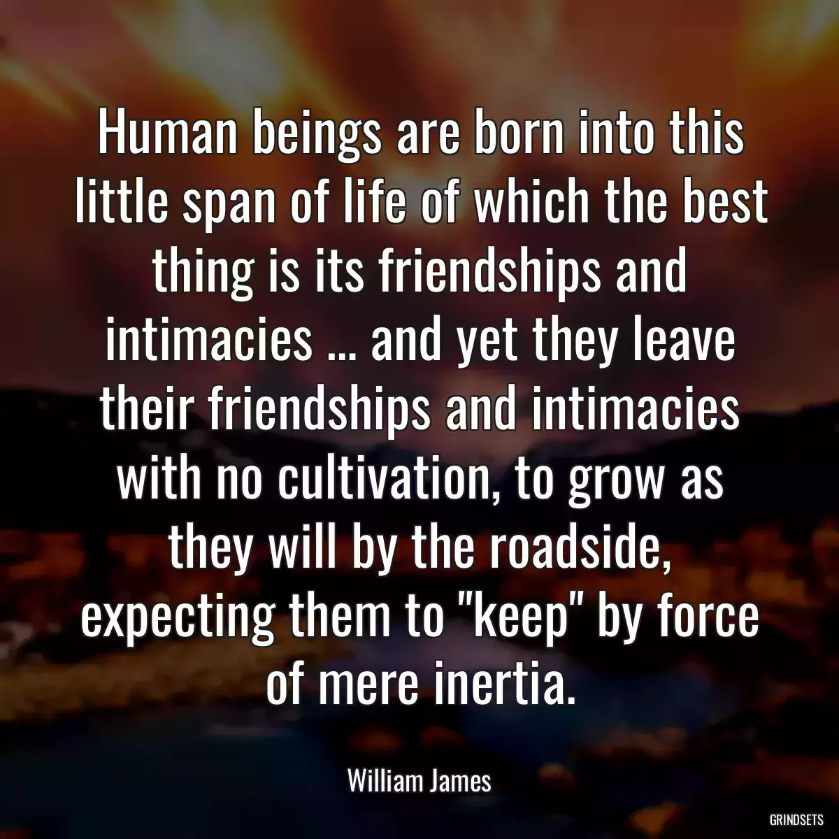 Human beings are born into this little span of life of which the best thing is its friendships and intimacies … and yet they leave their friendships and intimacies with no cultivation, to grow as they will by the roadside, expecting them to \