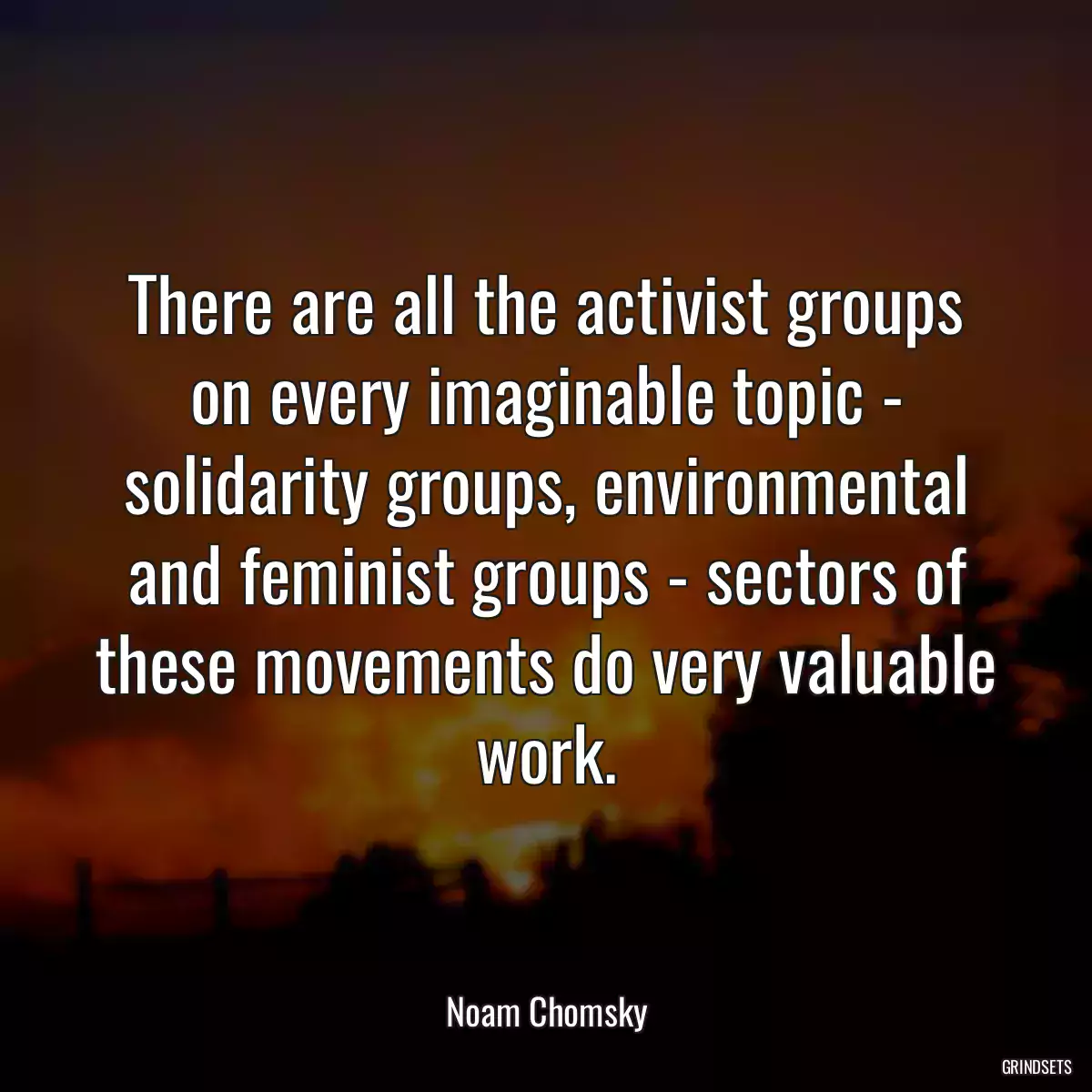 There are all the activist groups on every imaginable topic - solidarity groups, environmental and feminist groups - sectors of these movements do very valuable work.