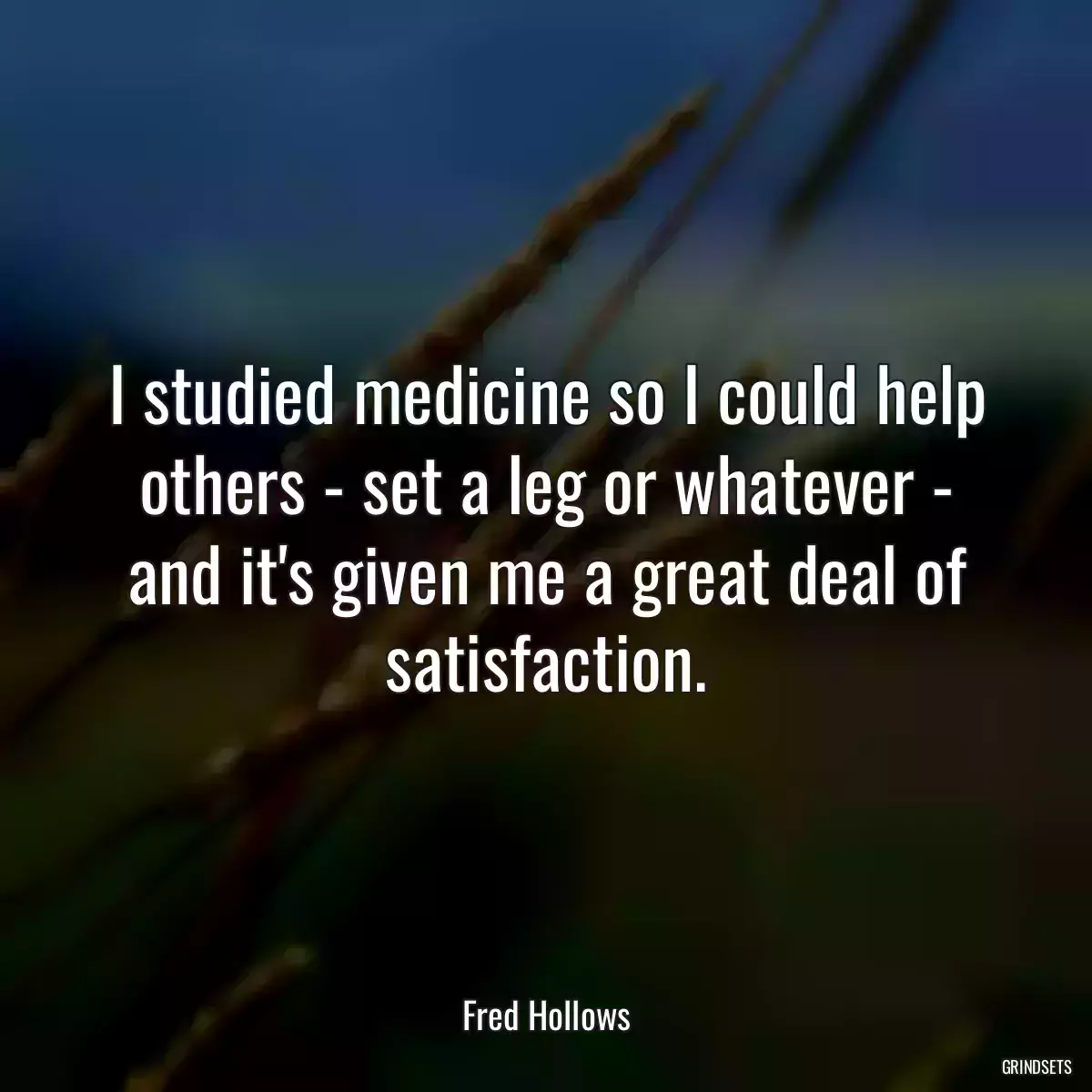 I studied medicine so I could help others - set a leg or whatever - and it\'s given me a great deal of satisfaction.