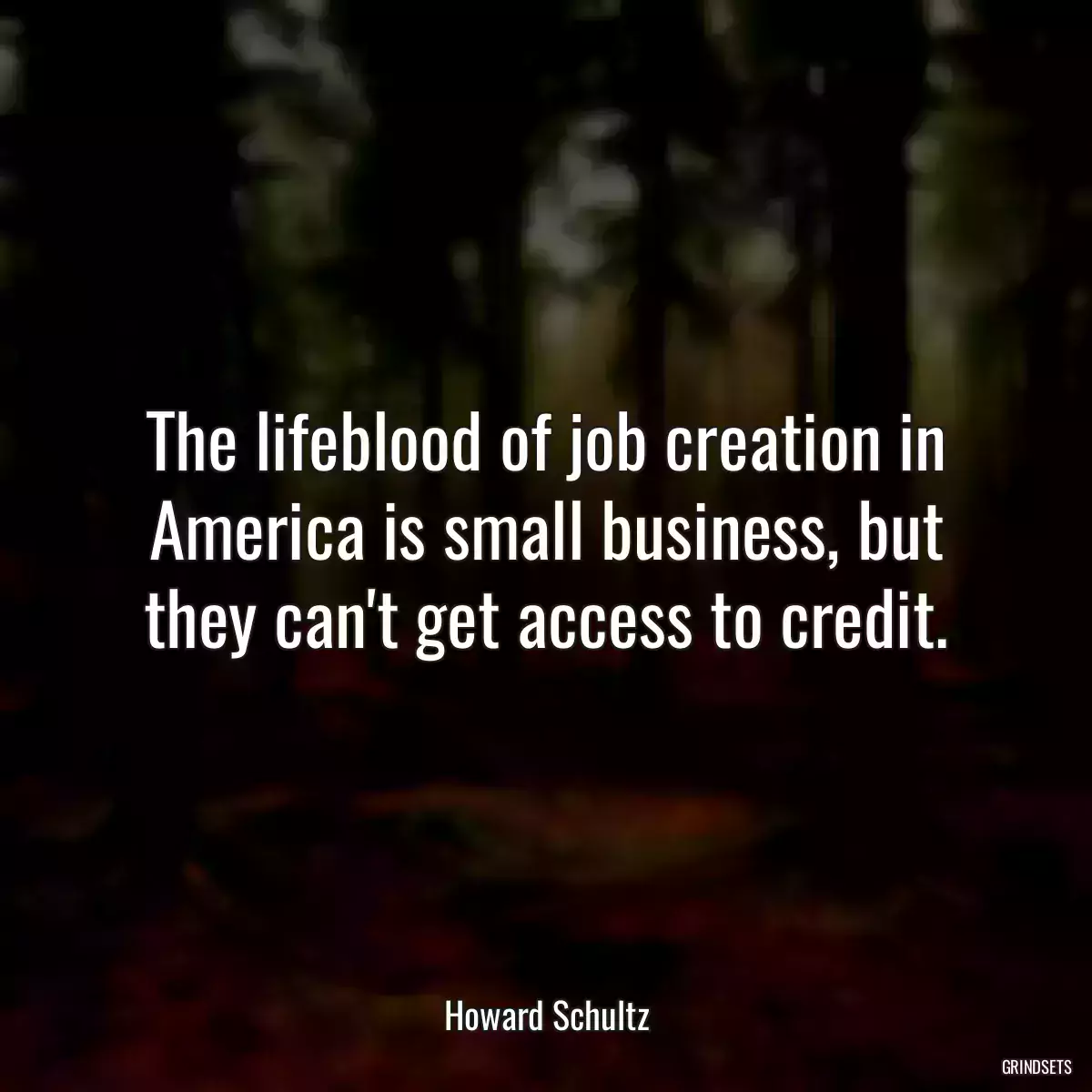 The lifeblood of job creation in America is small business, but they can\'t get access to credit.